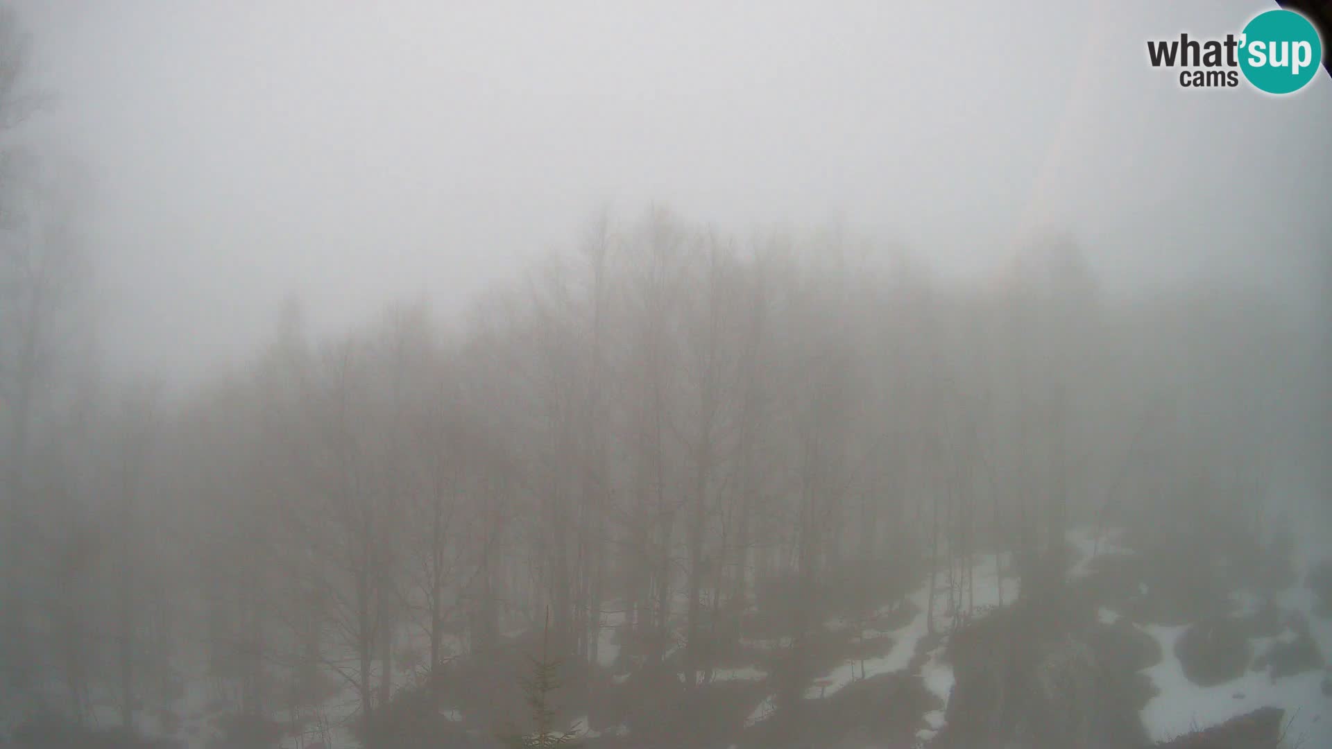 PLANINA RAZOR Live Cam (1315) | vista su Vogel e Globoko