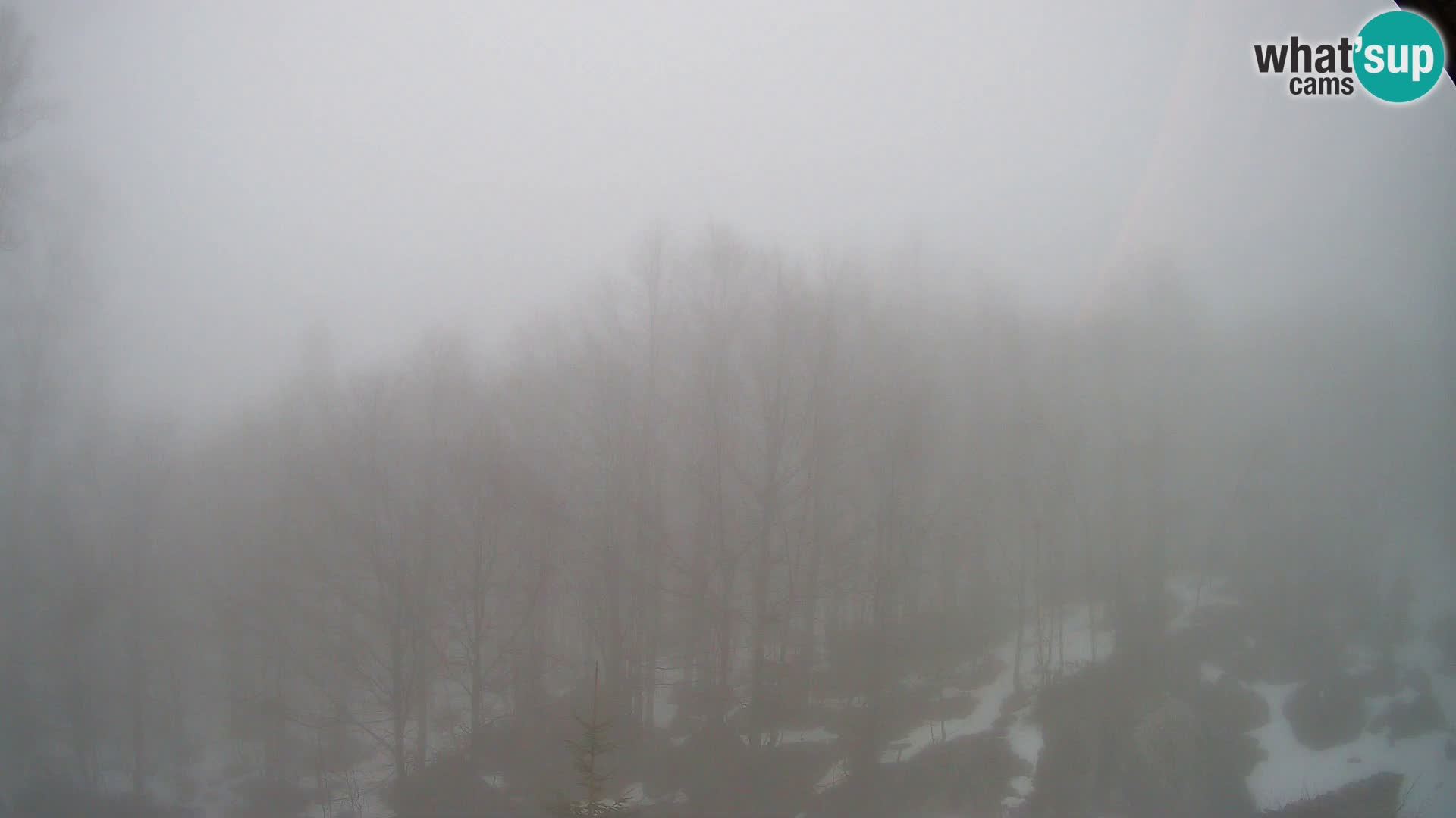 PLANINA RAZOR Live Cam (1315) | vista su Vogel e Globoko