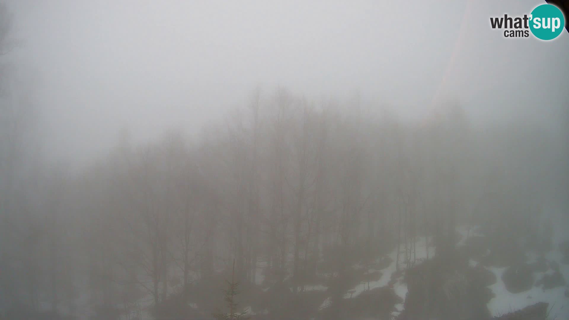 Webcam PLANINA RAZOR (1315) | Blick auf Vogel und Globoko