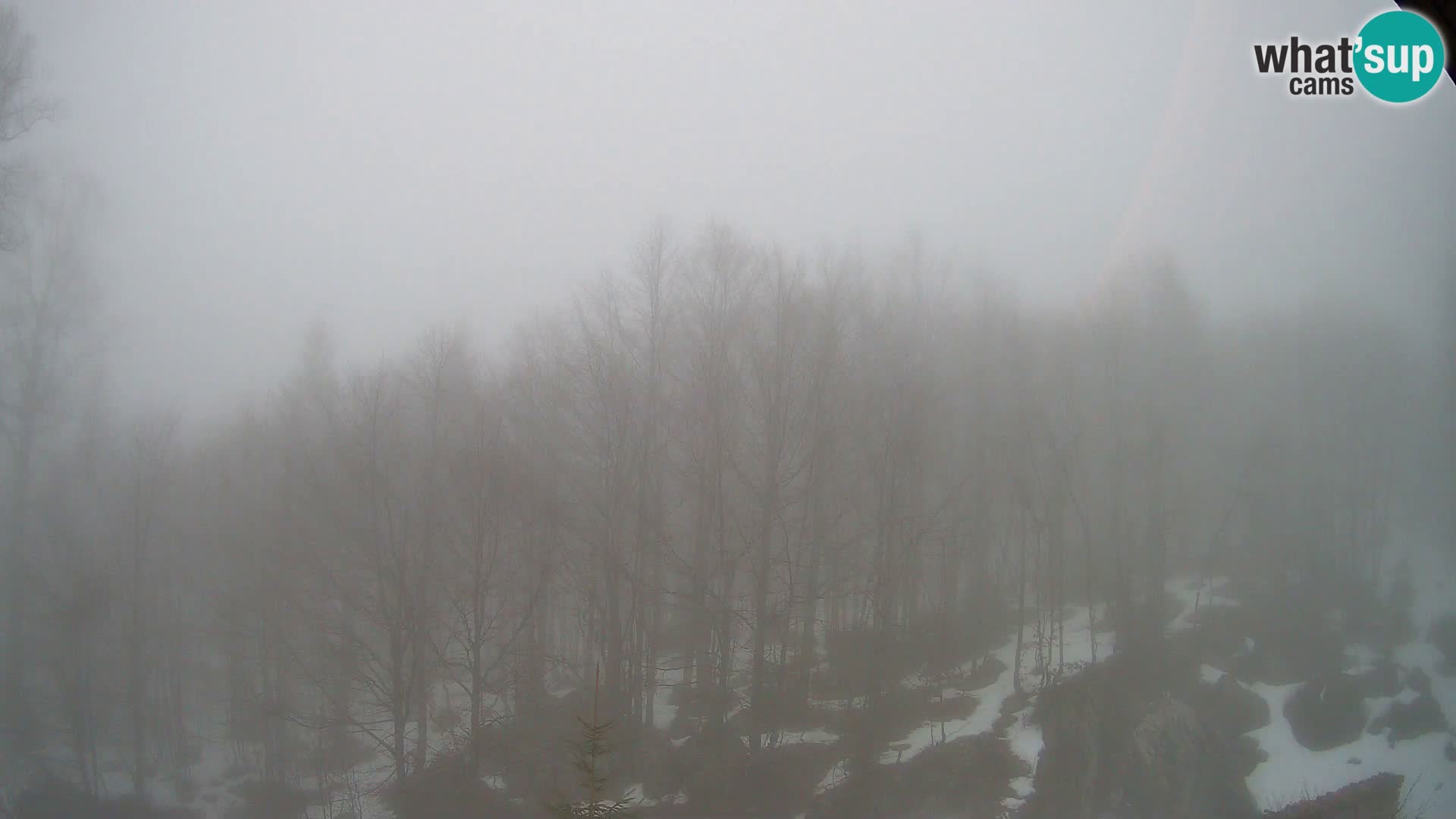 Webcam PLANINA RAZOR (1315) | Blick auf Vogel und Globoko