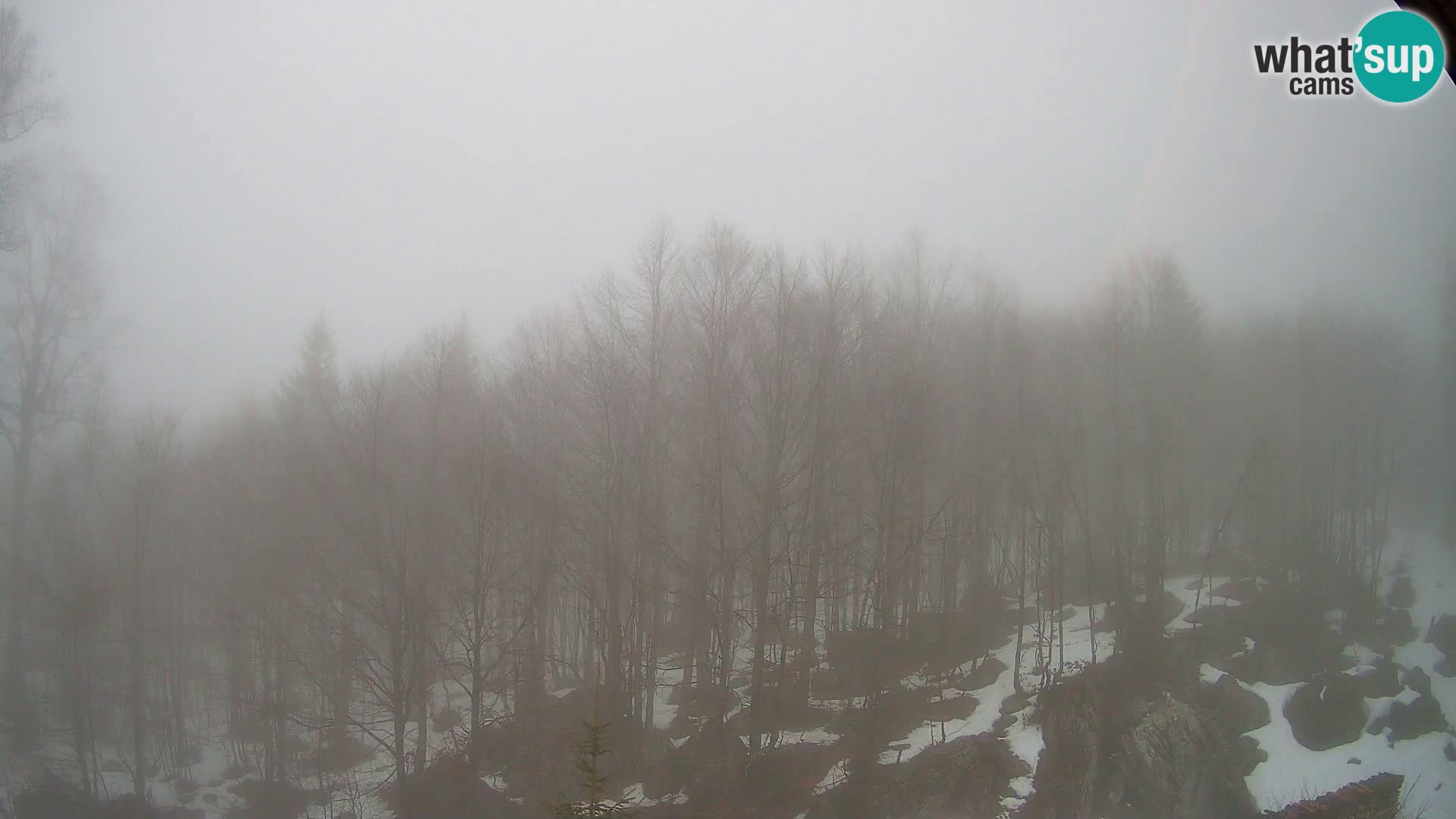 PLANINA RAZOR kamera (1315) | pogled na Vogel in Globoko