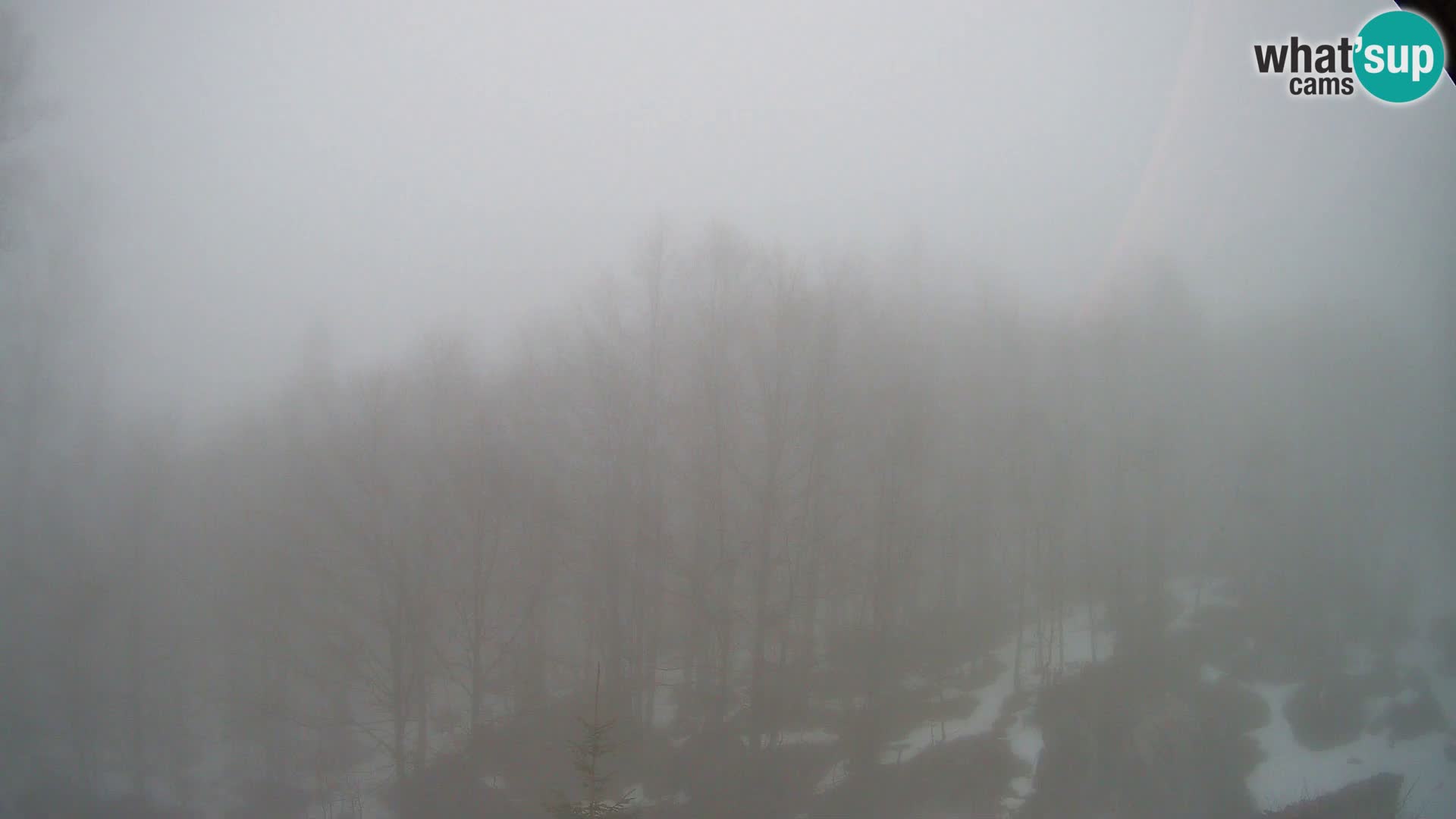 PLANINA RAZOR webcam (1315) | view to Vogel and Globoko