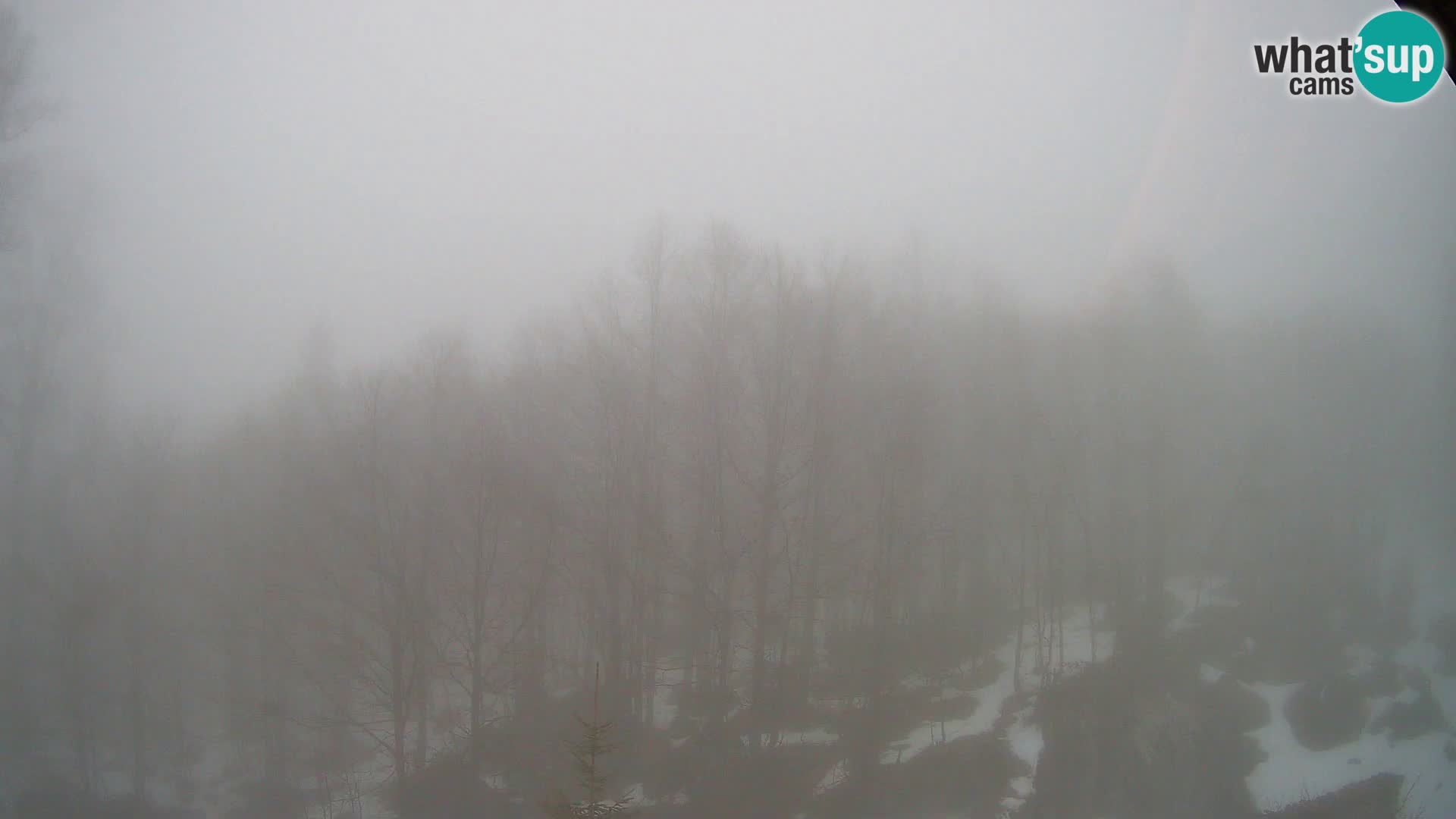 PLANINA RAZOR webcam (1315) | view to Vogel and Globoko