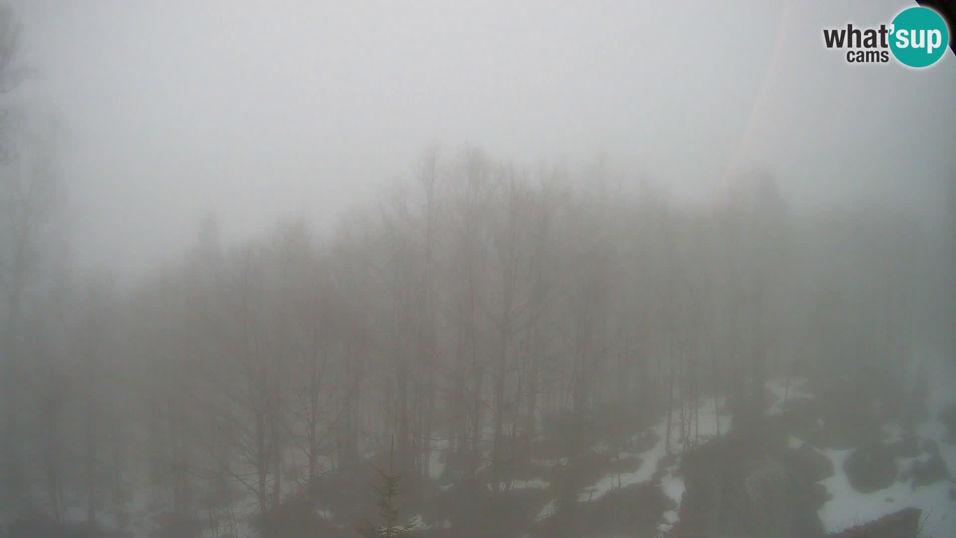 PLANINA RAZOR Live Cam (1315) | vista su Vogel e Globoko