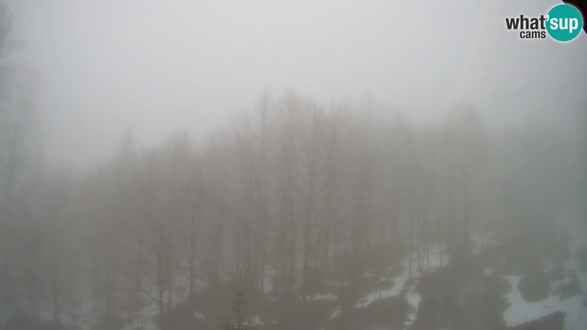 PLANINA RAZOR Live Cam (1315) | vista su Vogel e Globoko