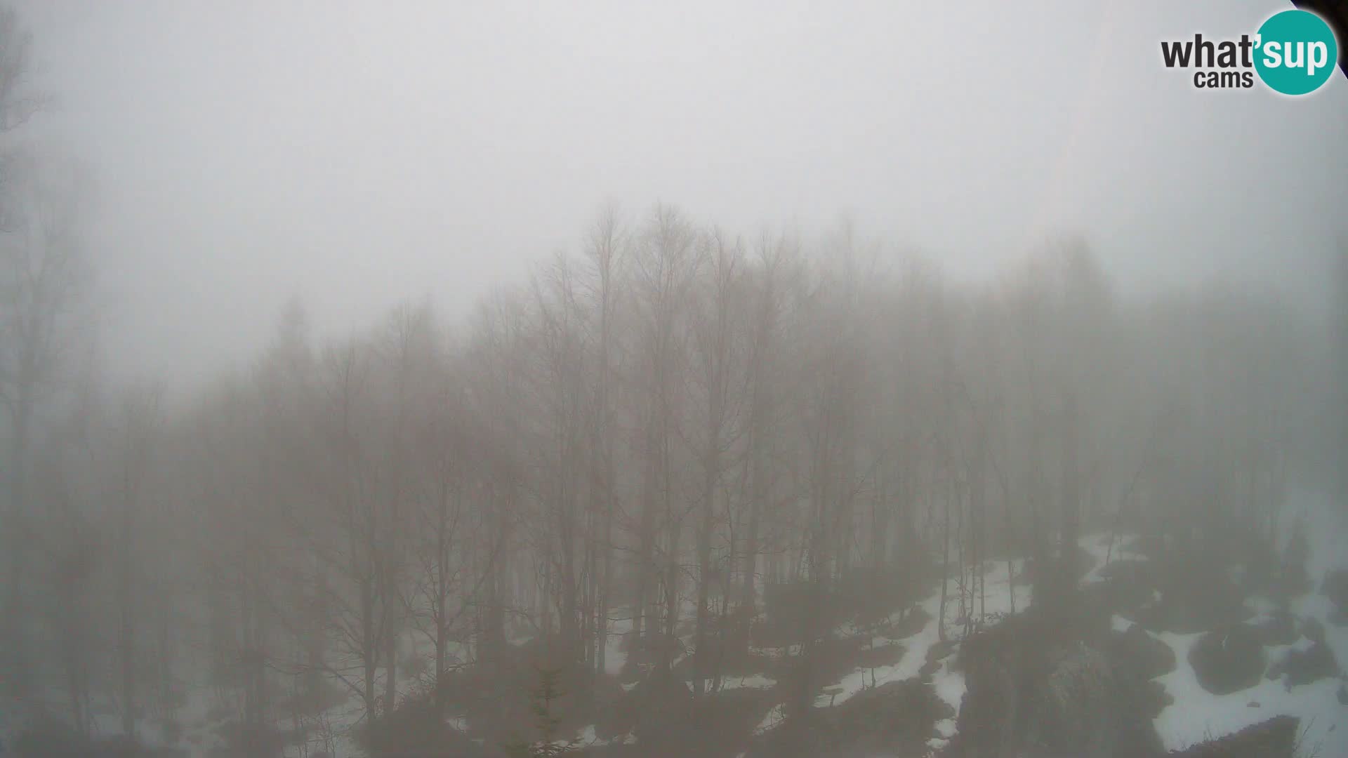 Webcam PLANINA RAZOR (1315) | Blick auf Vogel und Globoko