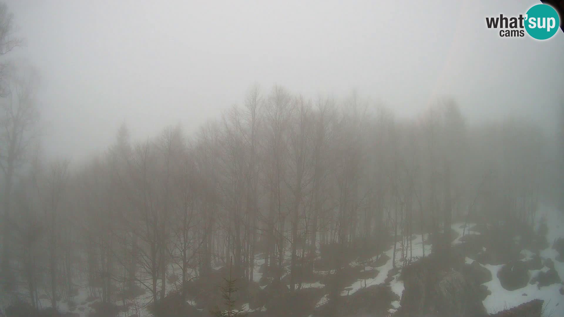 PLANINA RAZOR kamera (1315) | pogled na Vogel in Globoko