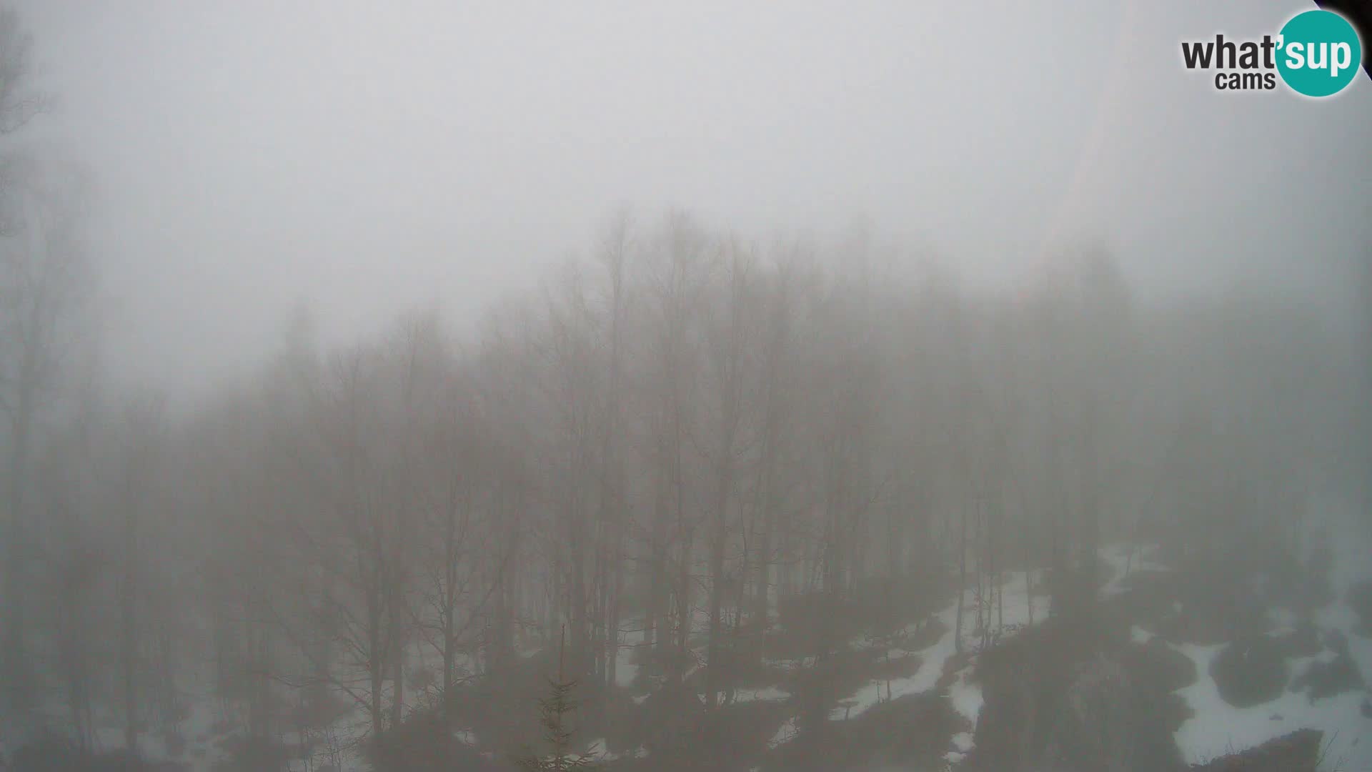 PLANINA RAZOR kamera (1315) | pogled na Vogel in Globoko