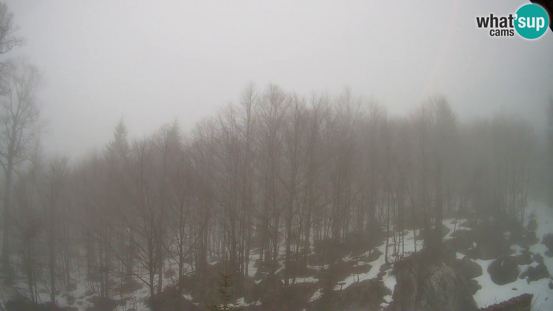 Webcam PLANINA RAZOR (1315) | Blick auf Vogel und Globoko