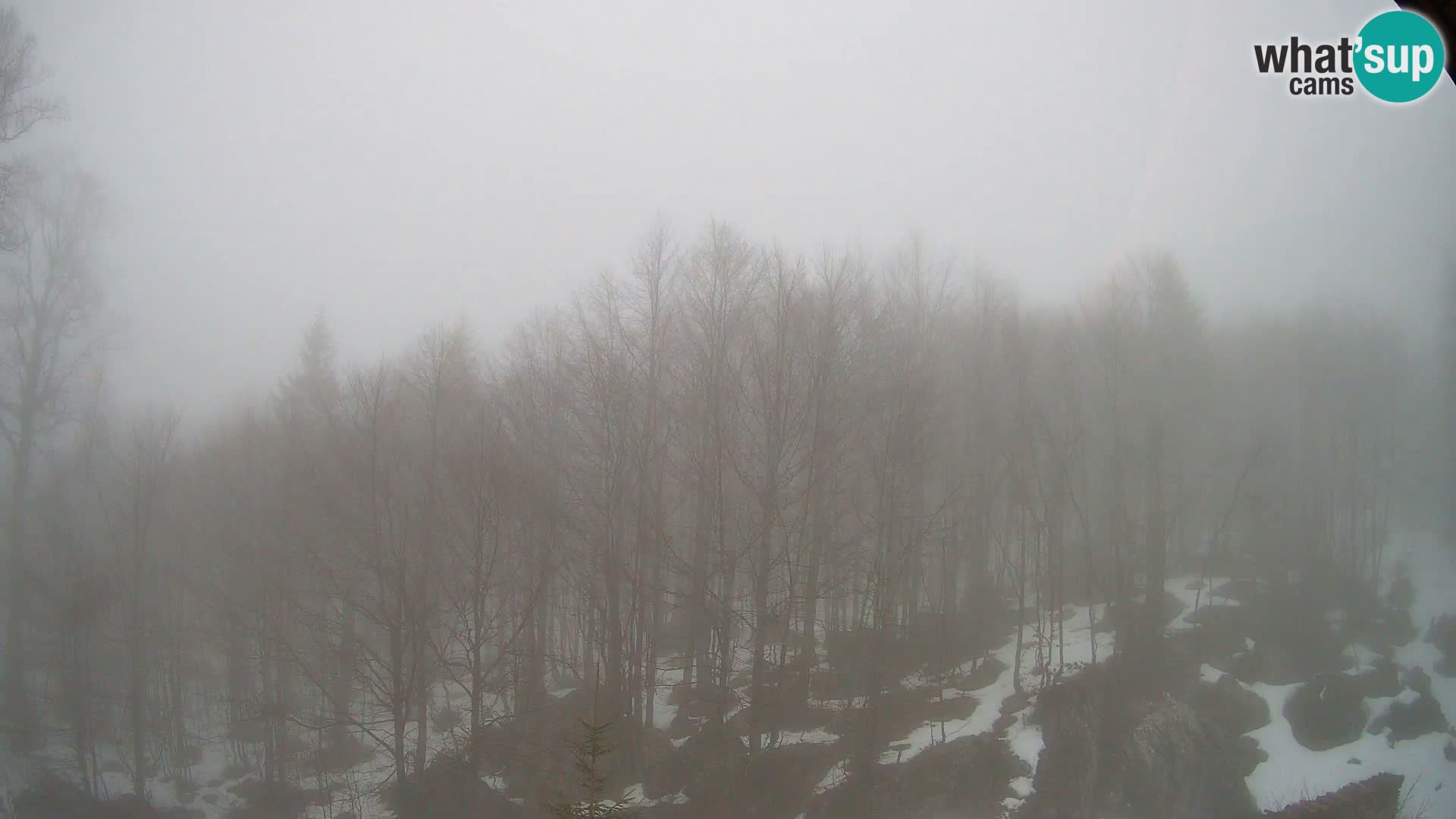 PLANINA RAZOR webcam (1315) | view to Vogel and Globoko