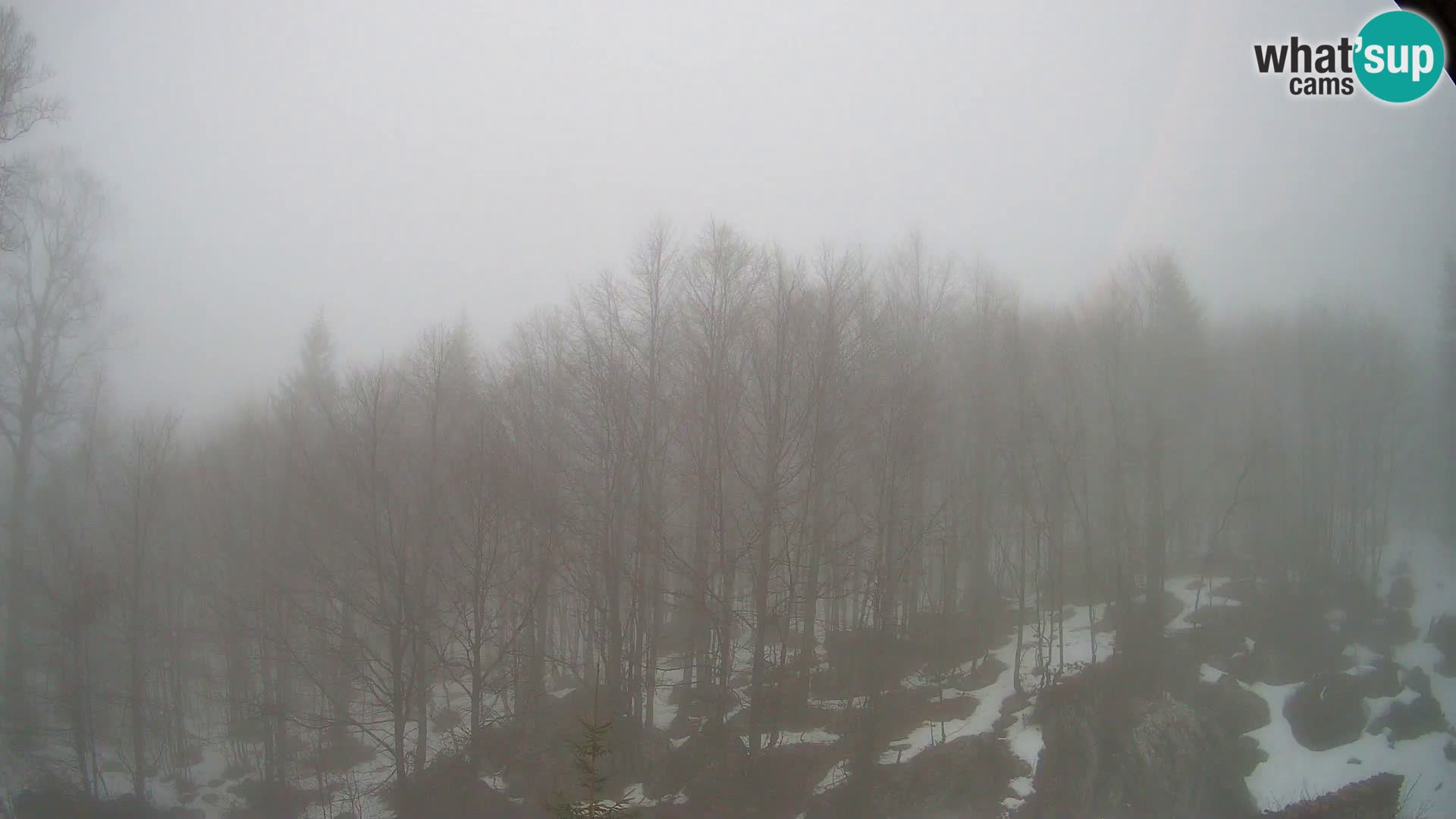 PLANINA RAZOR Live Cam (1315) | vista su Vogel e Globoko