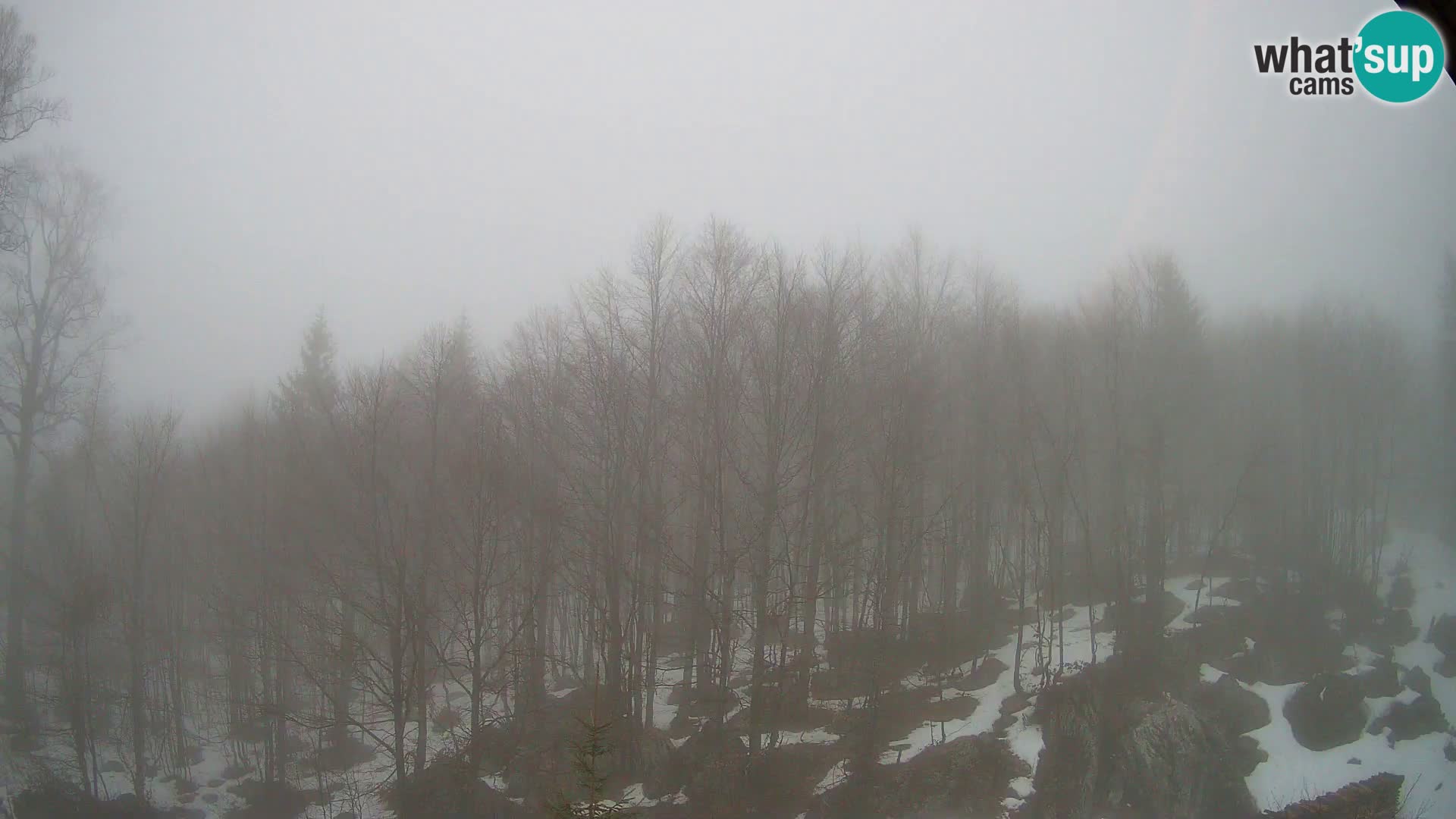 PLANINA RAZOR Live Cam (1315) | vista su Vogel e Globoko