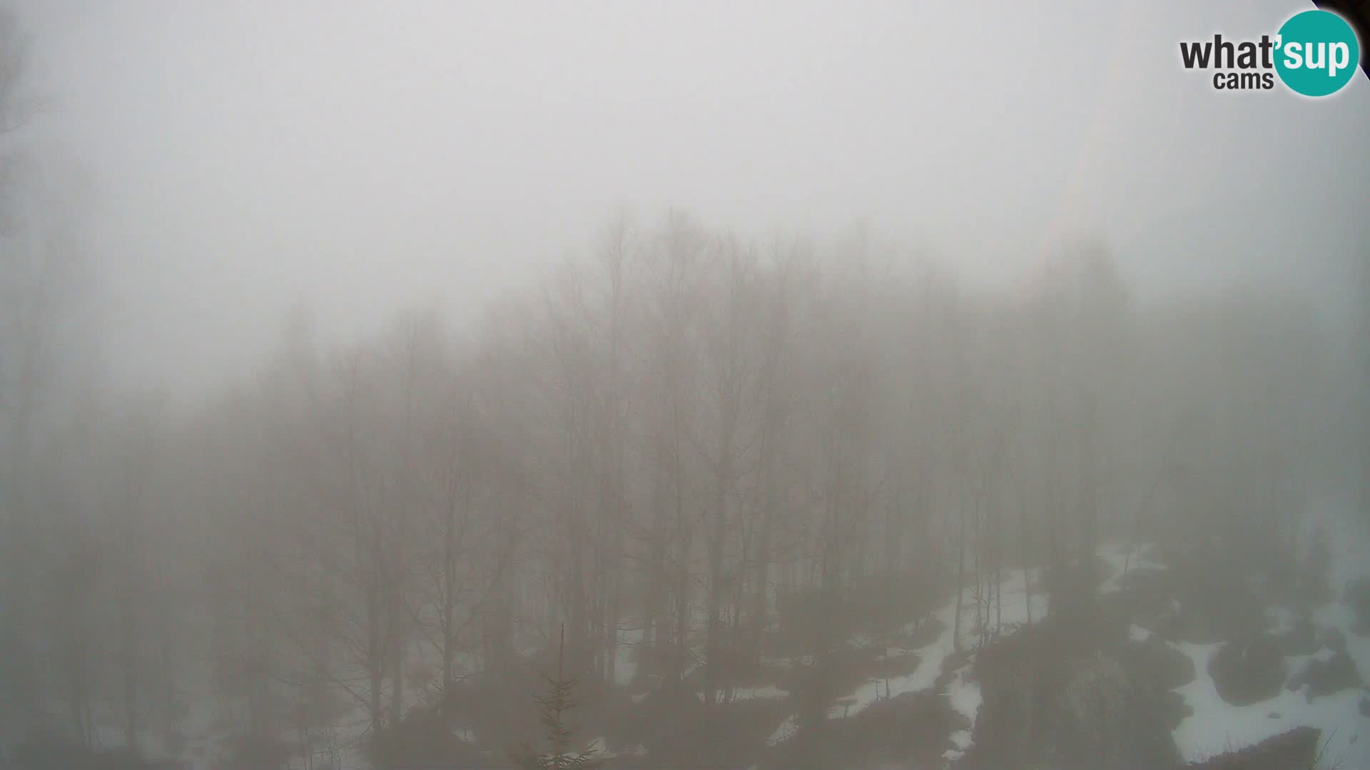 Webcam PLANINA RAZOR (1315) | Blick auf Vogel und Globoko