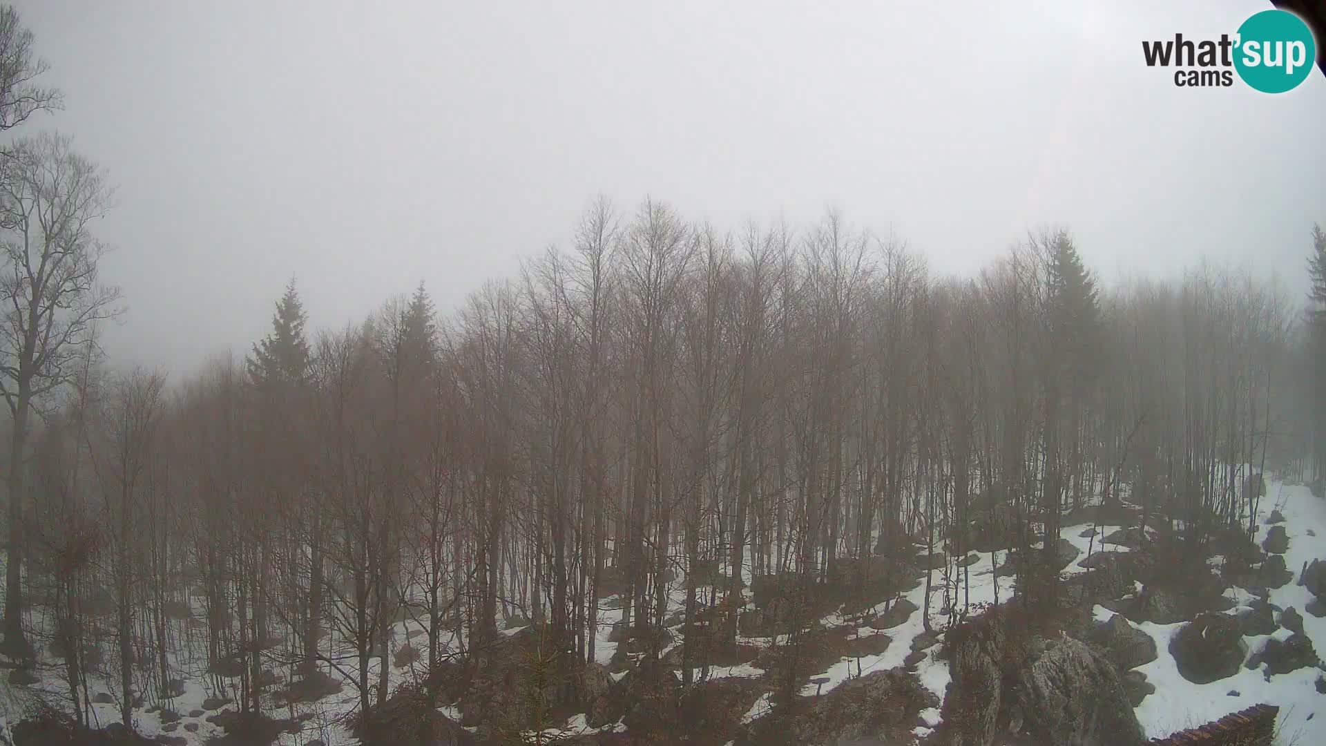 PLANINA RAZOR kamera (1315) | pogled na Vogel in Globoko