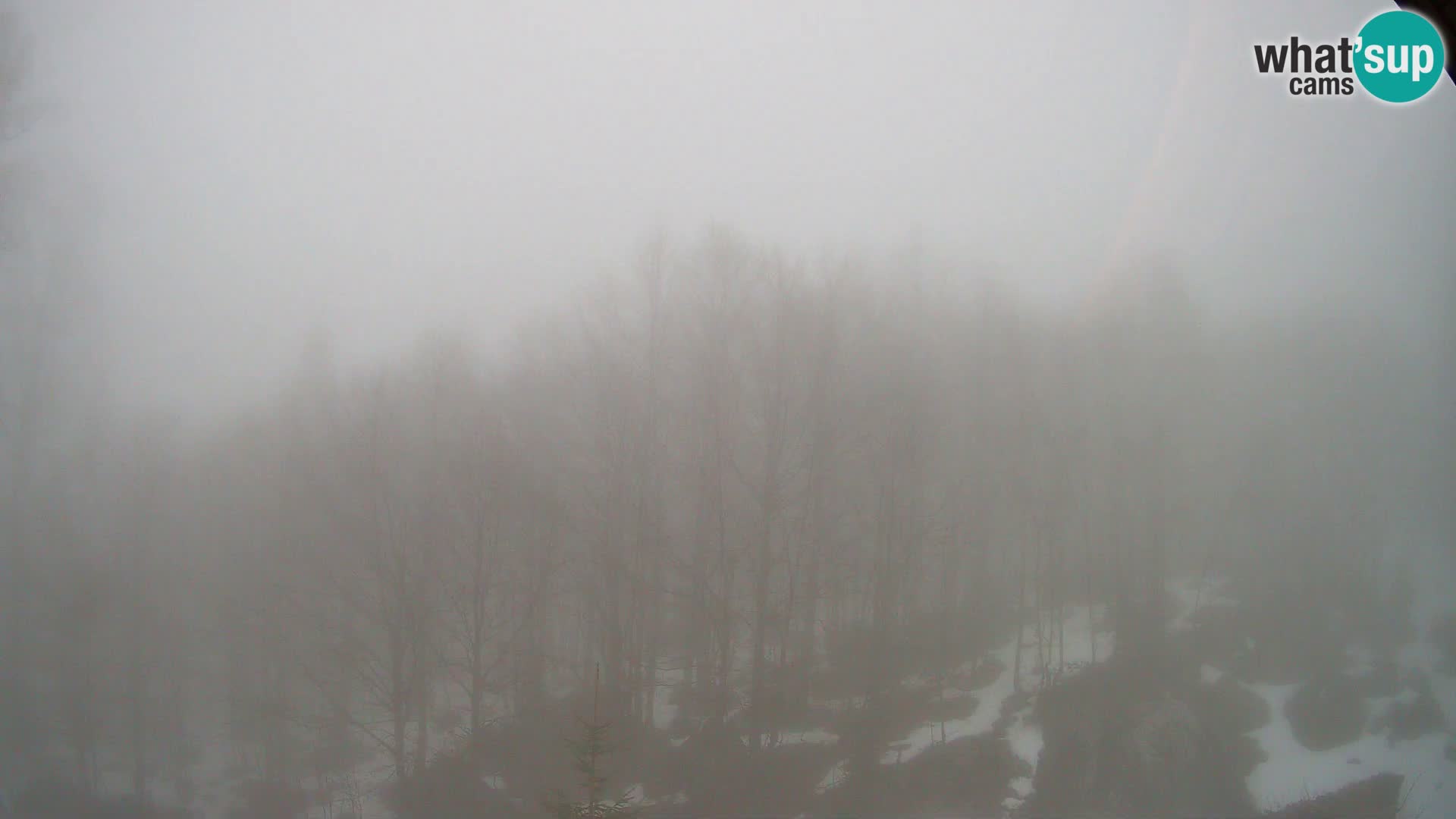 PLANINA RAZOR webcam (1315) | view to Vogel and Globoko