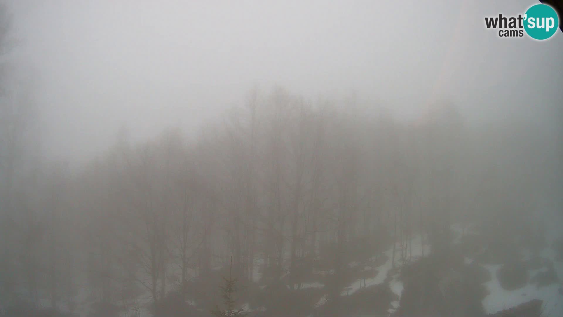 Webcam PLANINA RAZOR (1315) | Blick auf Vogel und Globoko