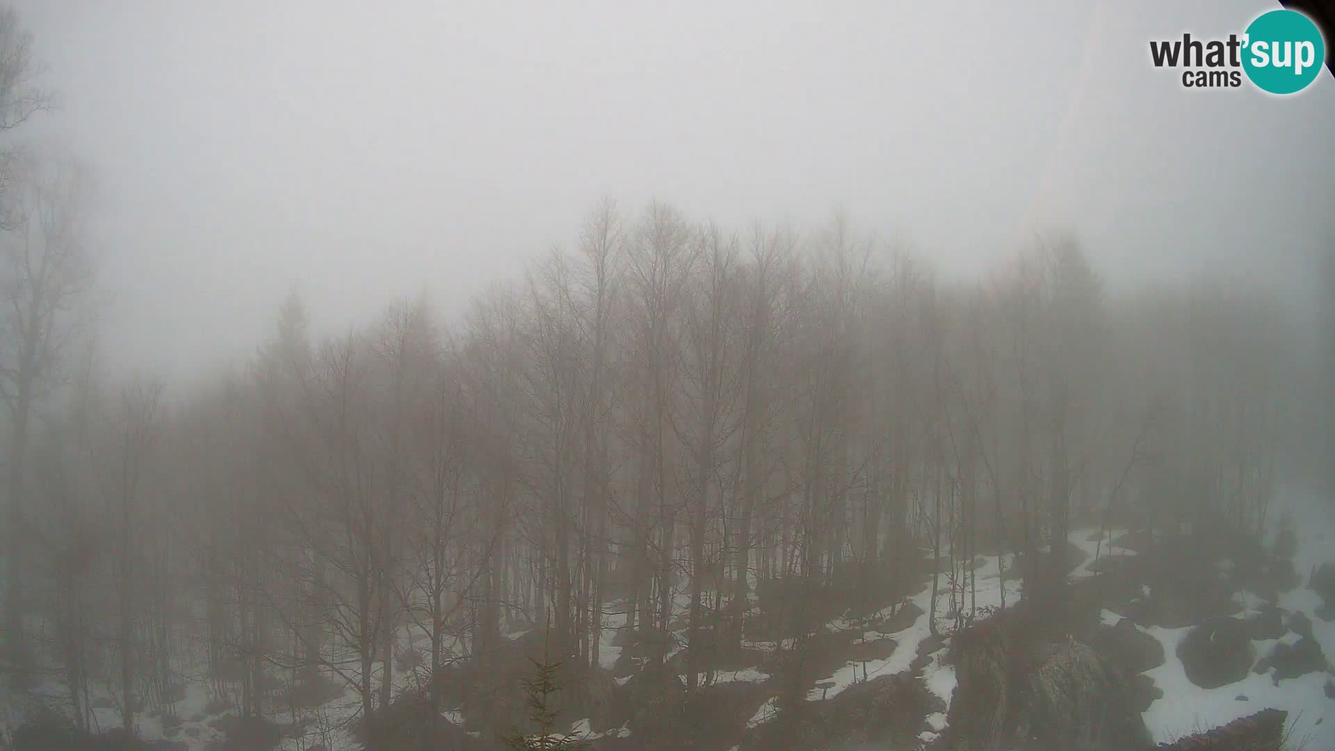 Livecam PLANINA RAZOR (1315) | vue sur Vogel et Globoko