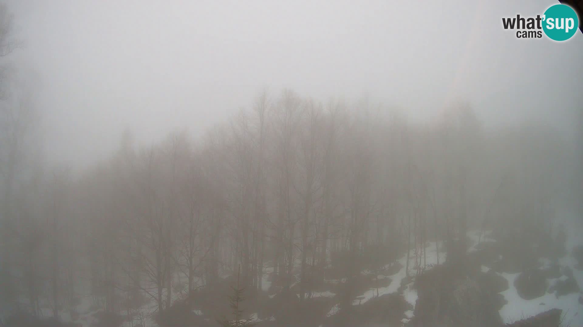 PLANINA RAZOR kamera (1315) | pogled na Vogel in Globoko