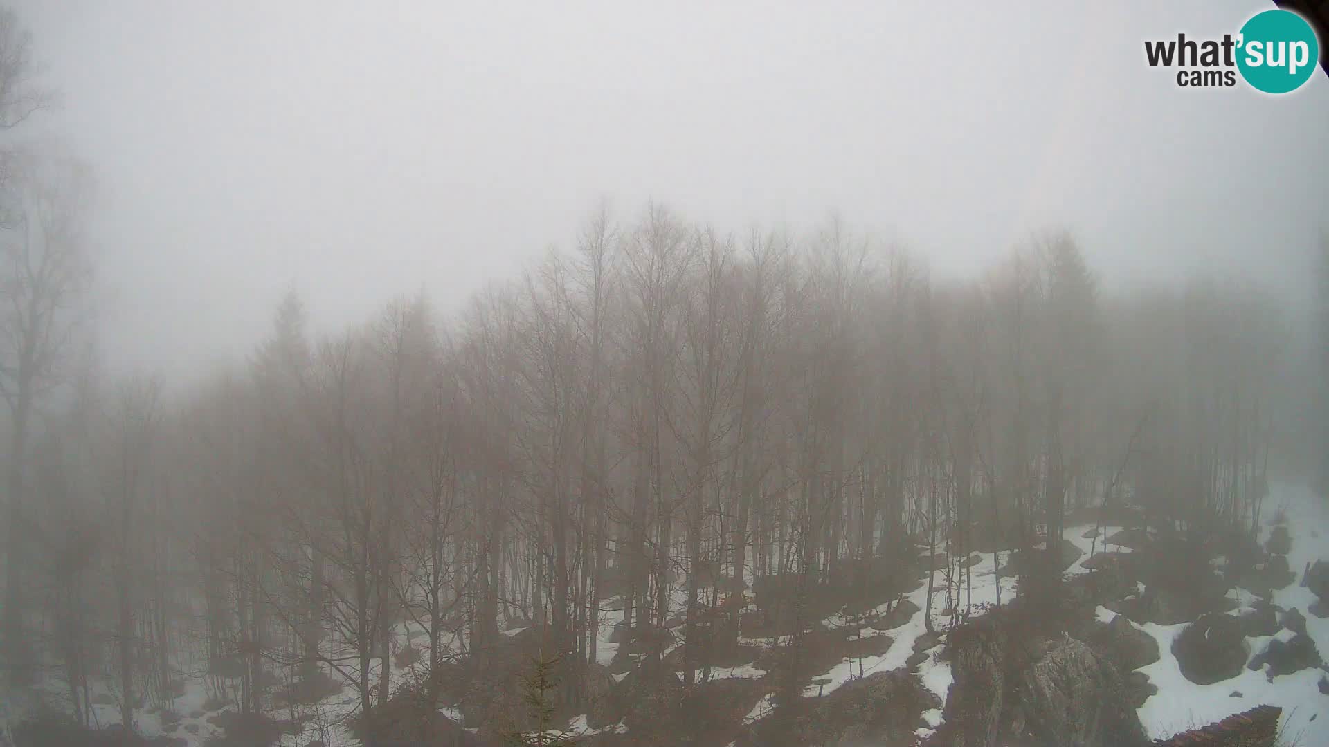 Webcam PLANINA RAZOR (1315) | Blick auf Vogel und Globoko