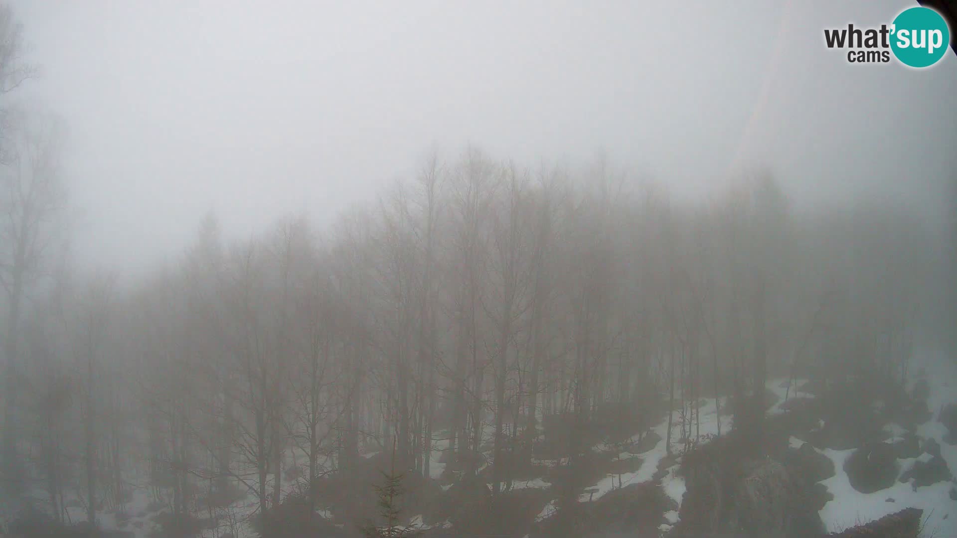 PLANINA RAZOR webcam (1315) | view to Vogel and Globoko