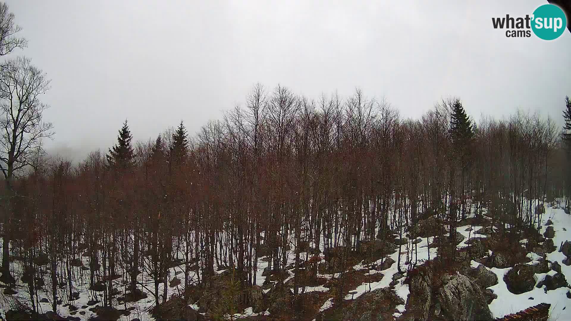PLANINA RAZOR Live Cam (1315) | vista su Vogel e Globoko