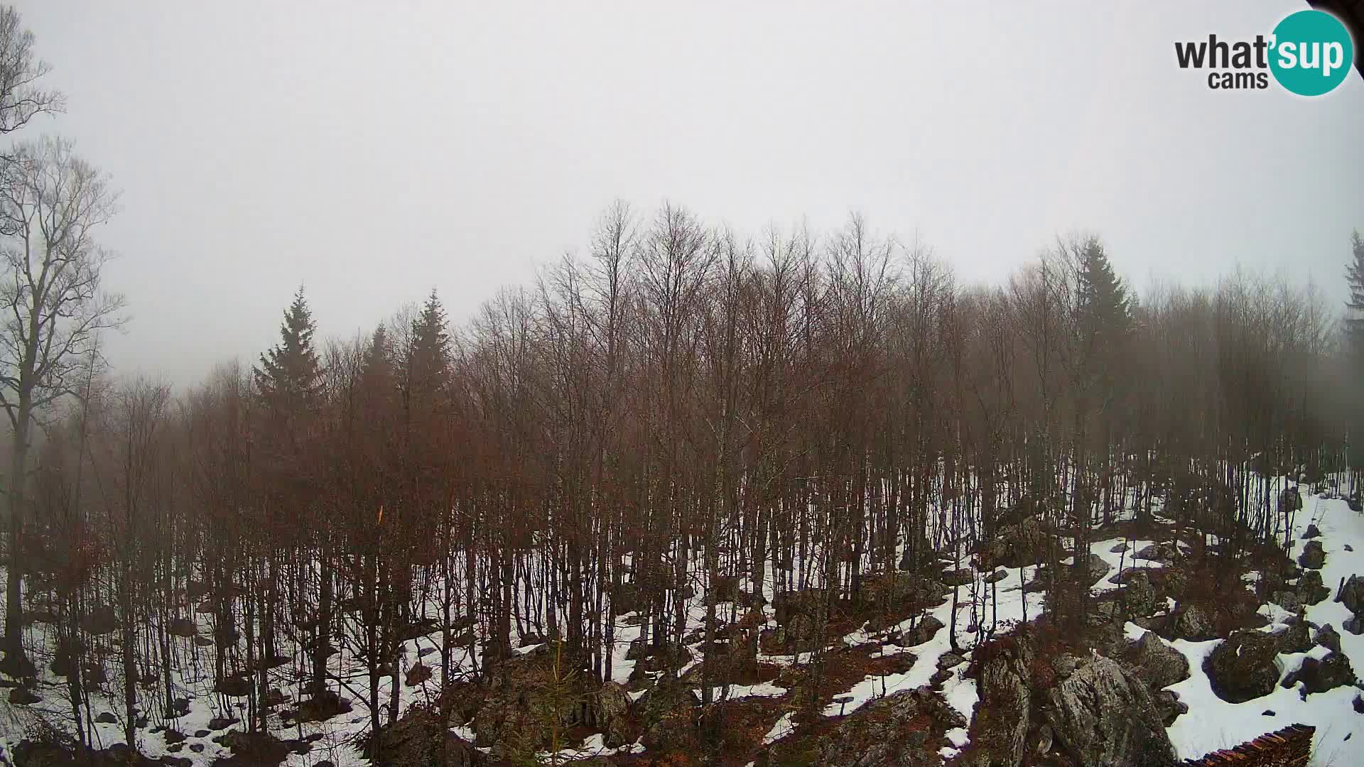 PLANINA RAZOR kamera (1315) | pogled na Vogel in Globoko
