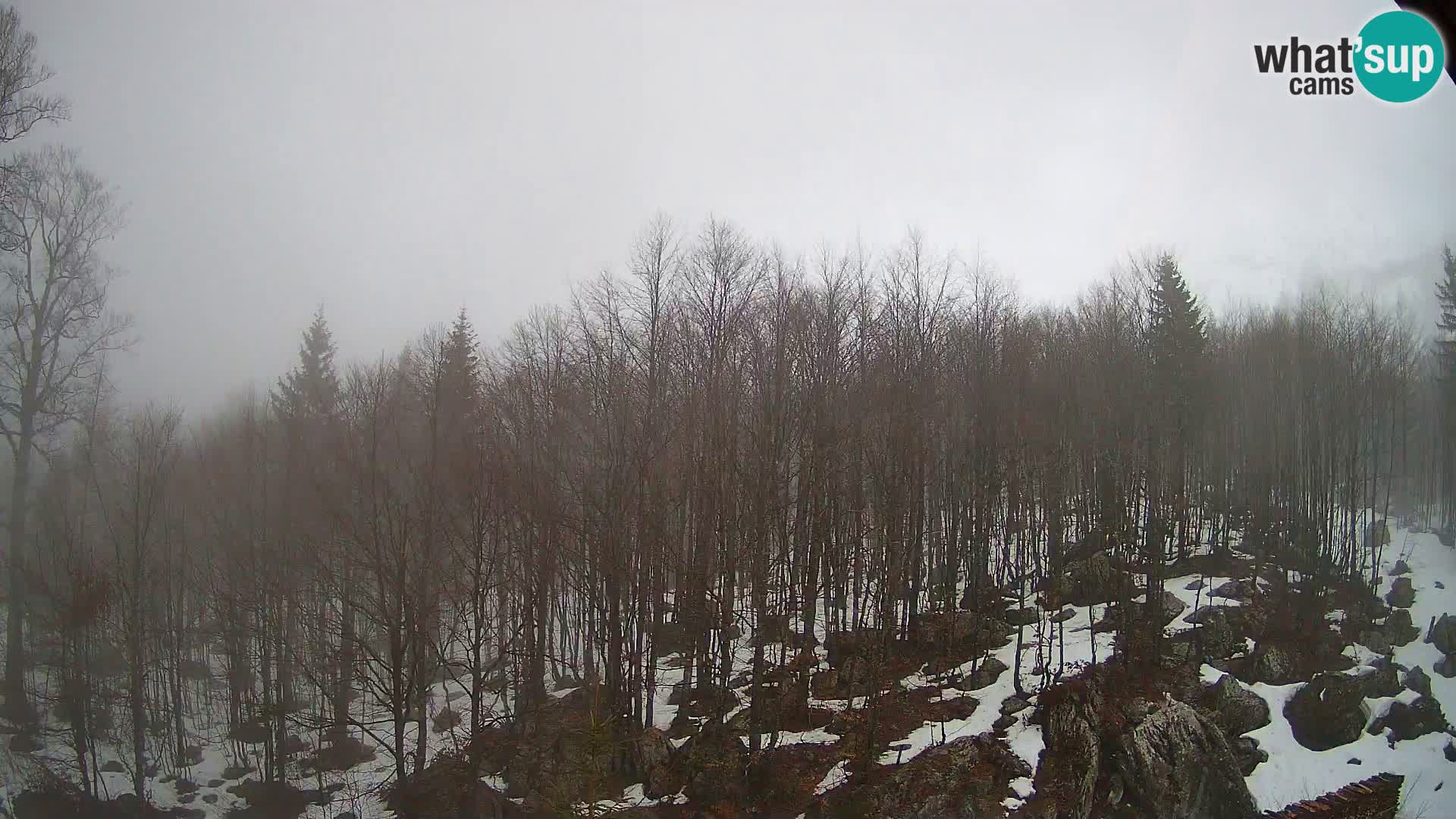 PLANINA RAZOR Live Cam (1315) | vista su Vogel e Globoko