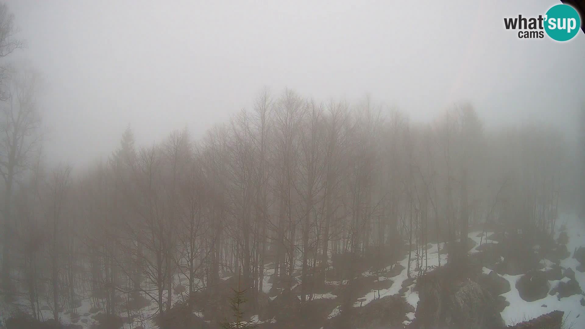 PLANINA RAZOR Live Cam (1315) | vista su Vogel e Globoko