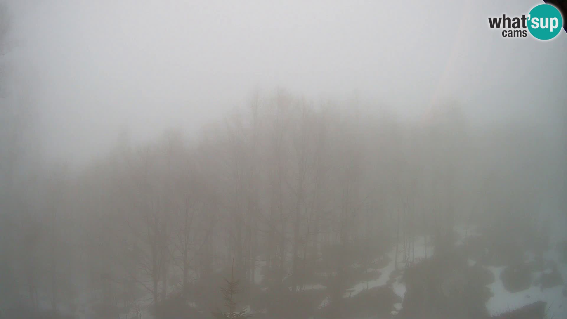 PLANINA RAZOR webcam (1315) | view to Vogel and Globoko