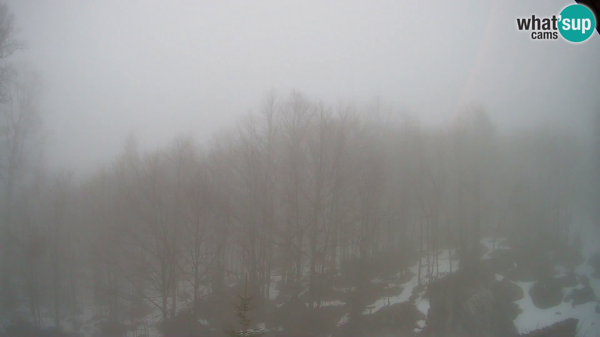 PLANINA RAZOR Live Cam (1315) | vista su Vogel e Globoko