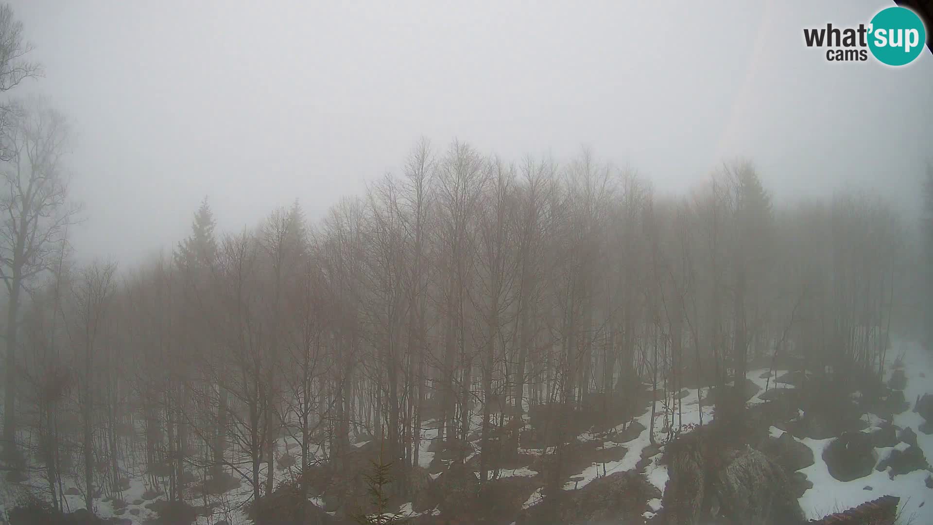 PLANINA RAZOR kamera (1315) | pogled na Vogel in Globoko