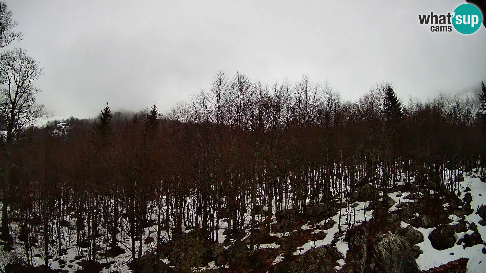 Webcam PLANINA RAZOR (1315) | Blick auf Vogel und Globoko