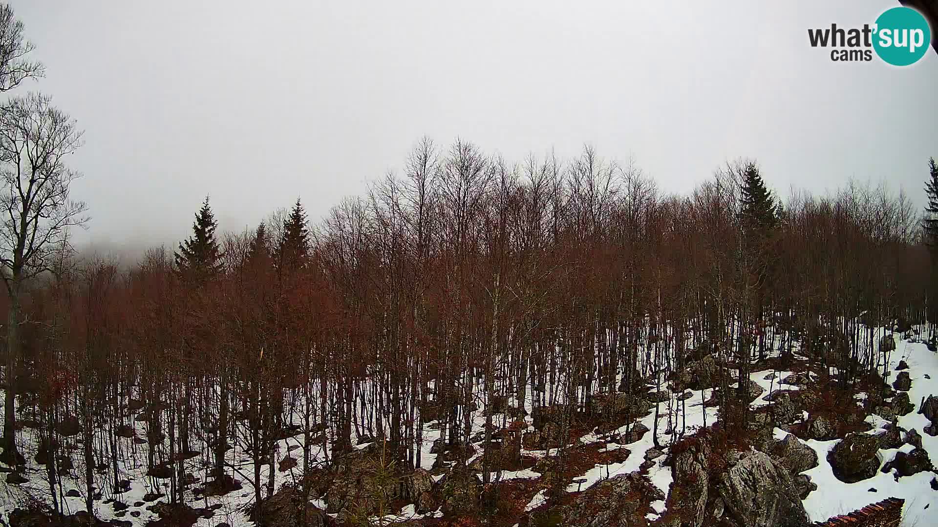 Webcam PLANINA RAZOR (1315) | Blick auf Vogel und Globoko