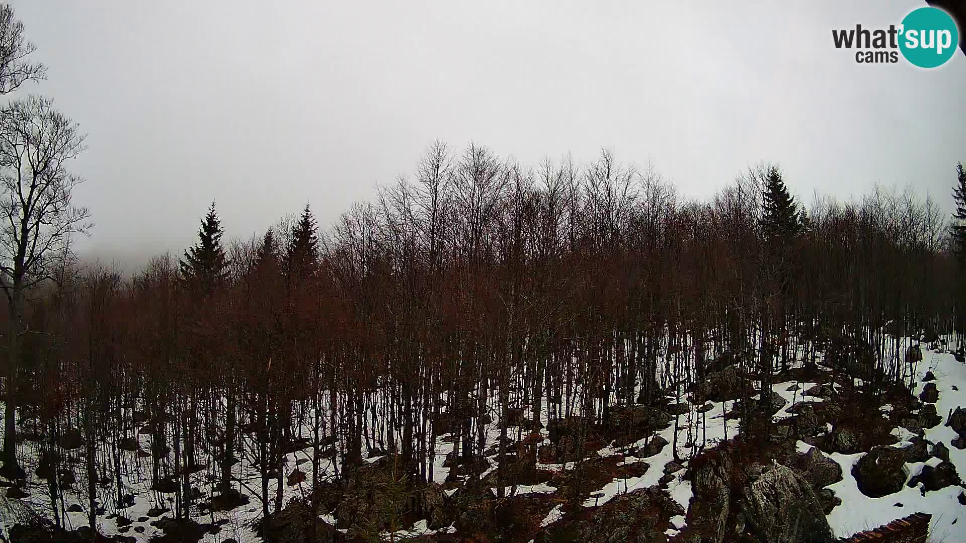 Livecam PLANINA RAZOR (1315) | vue sur Vogel et Globoko