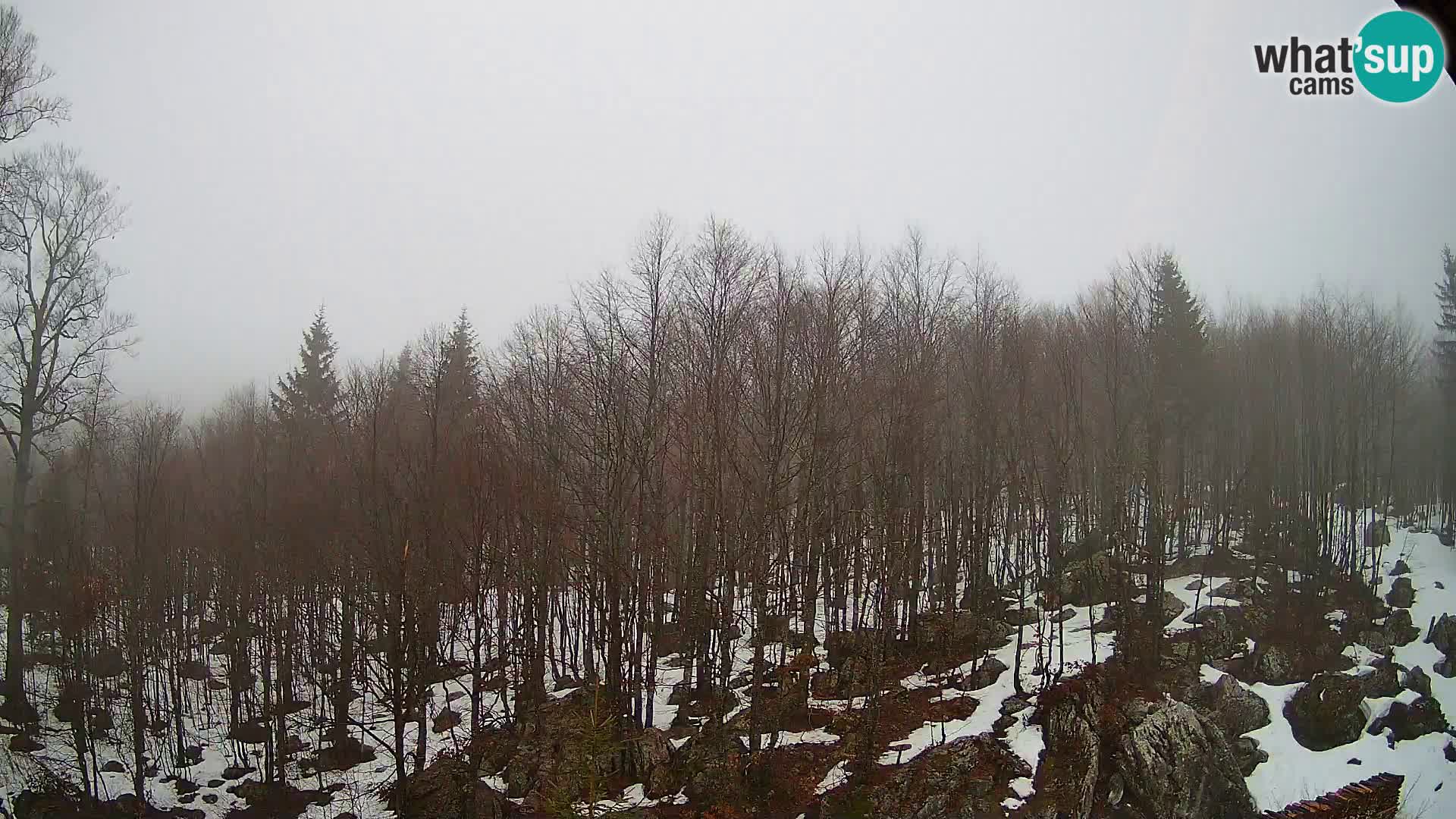 Livecam PLANINA RAZOR (1315) | vue sur Vogel et Globoko