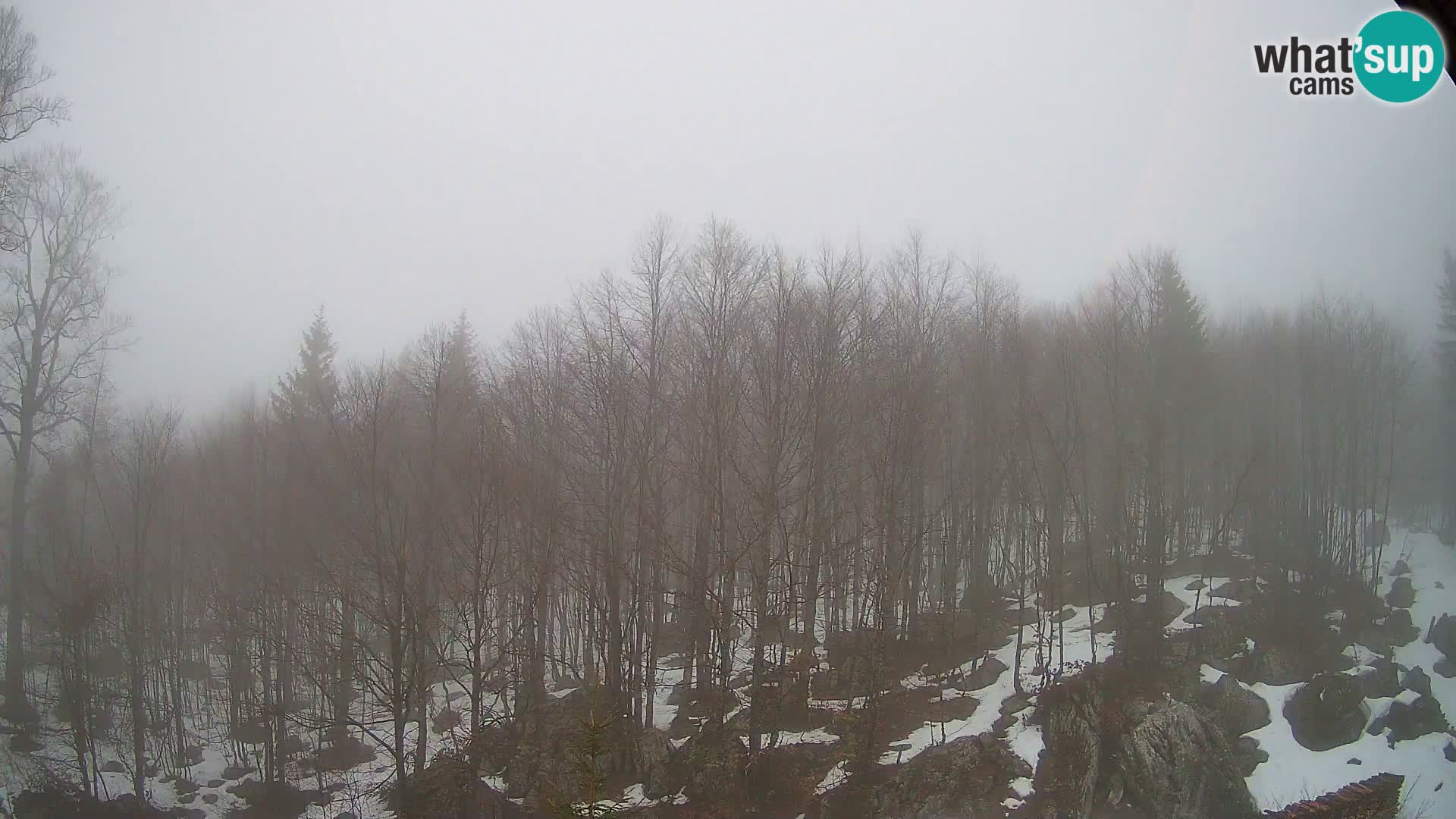 PLANINA RAZOR web kamera (1315) | pogled na Vogel i Globoko