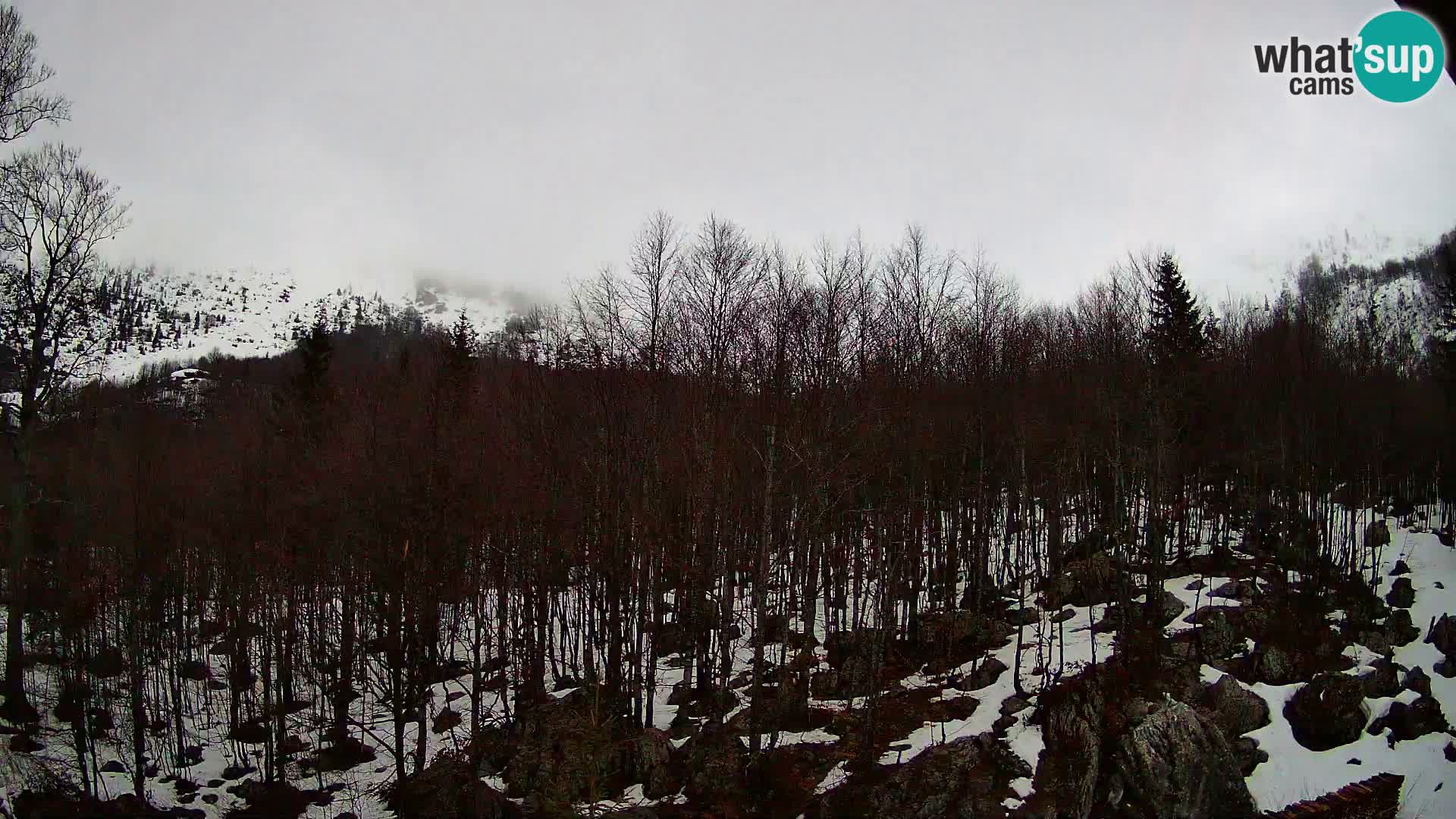 Webcam PLANINA RAZOR (1315) | Blick auf Vogel und Globoko