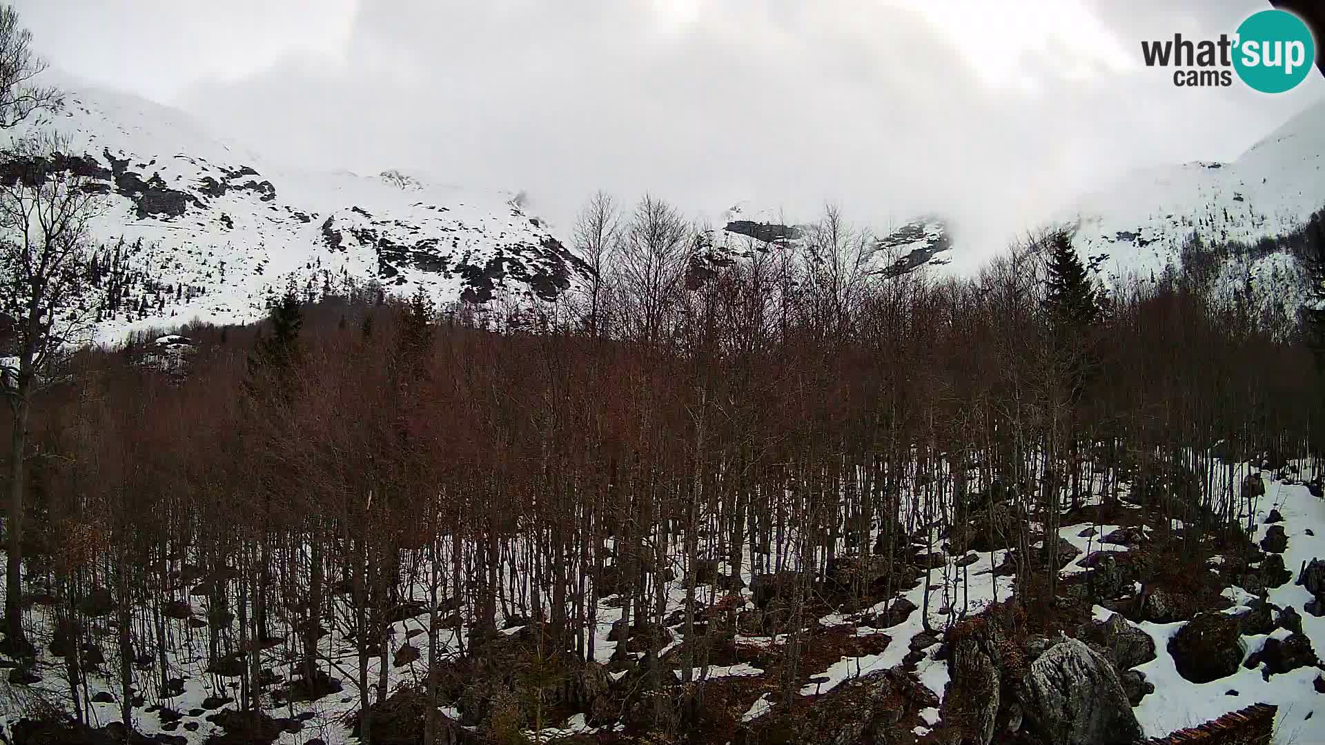 Livecam PLANINA RAZOR (1315) | vue sur Vogel et Globoko