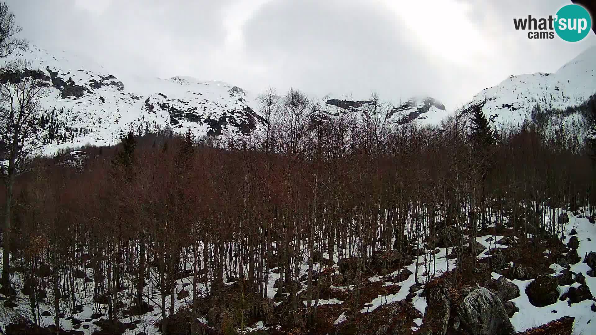 PLANINA RAZOR webcam (1315) | view to Vogel and Globoko