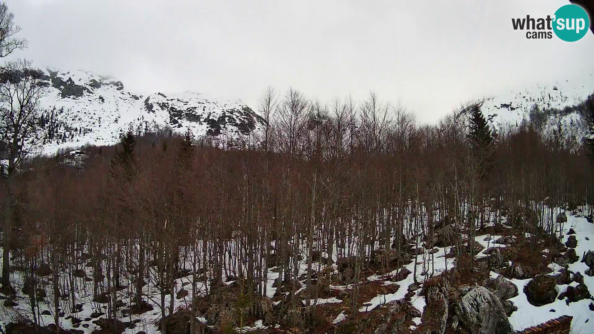 PLANINA RAZOR Live Cam (1315) | vista su Vogel e Globoko