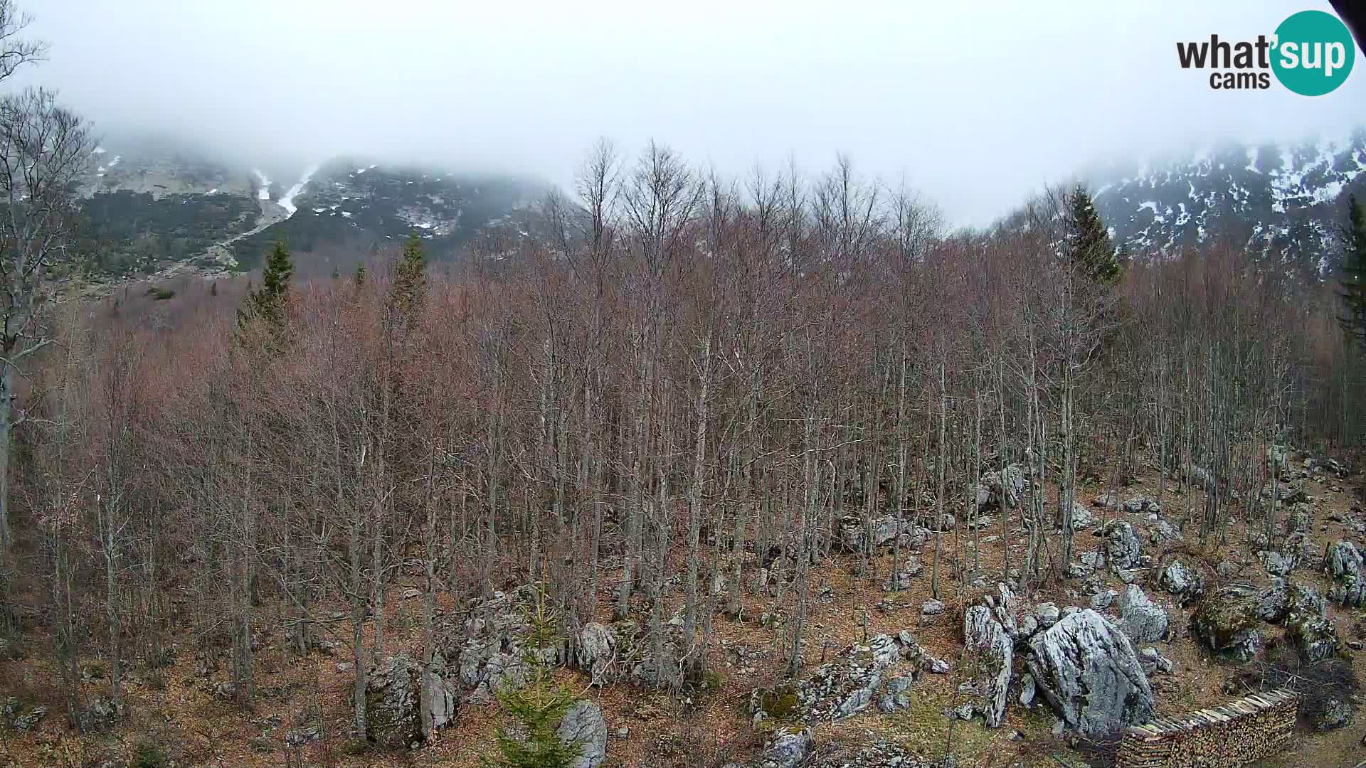 PLANINA RAZOR webcam (1315) | view to Vogel and Globoko