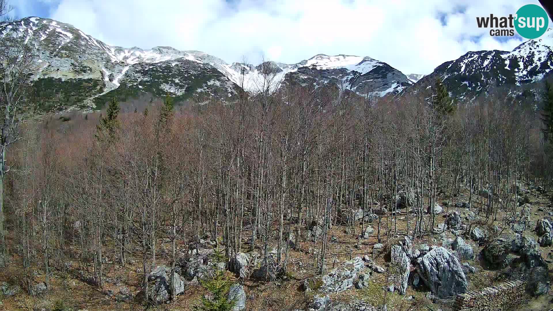 PLANINA RAZOR Live Cam (1315) | vista su Vogel e Globoko
