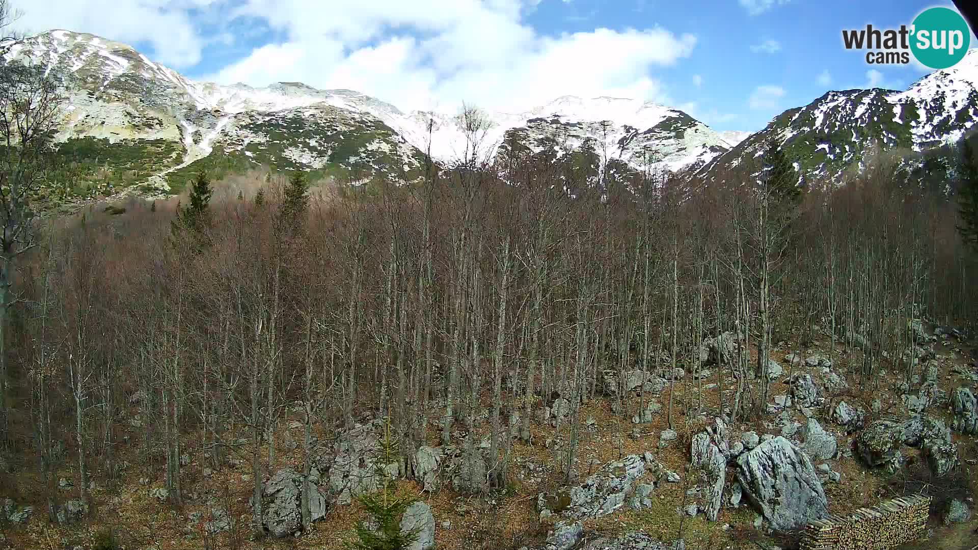 Cámara web PLANINA RAZOR (1315) | vista a Vogel y Globoko