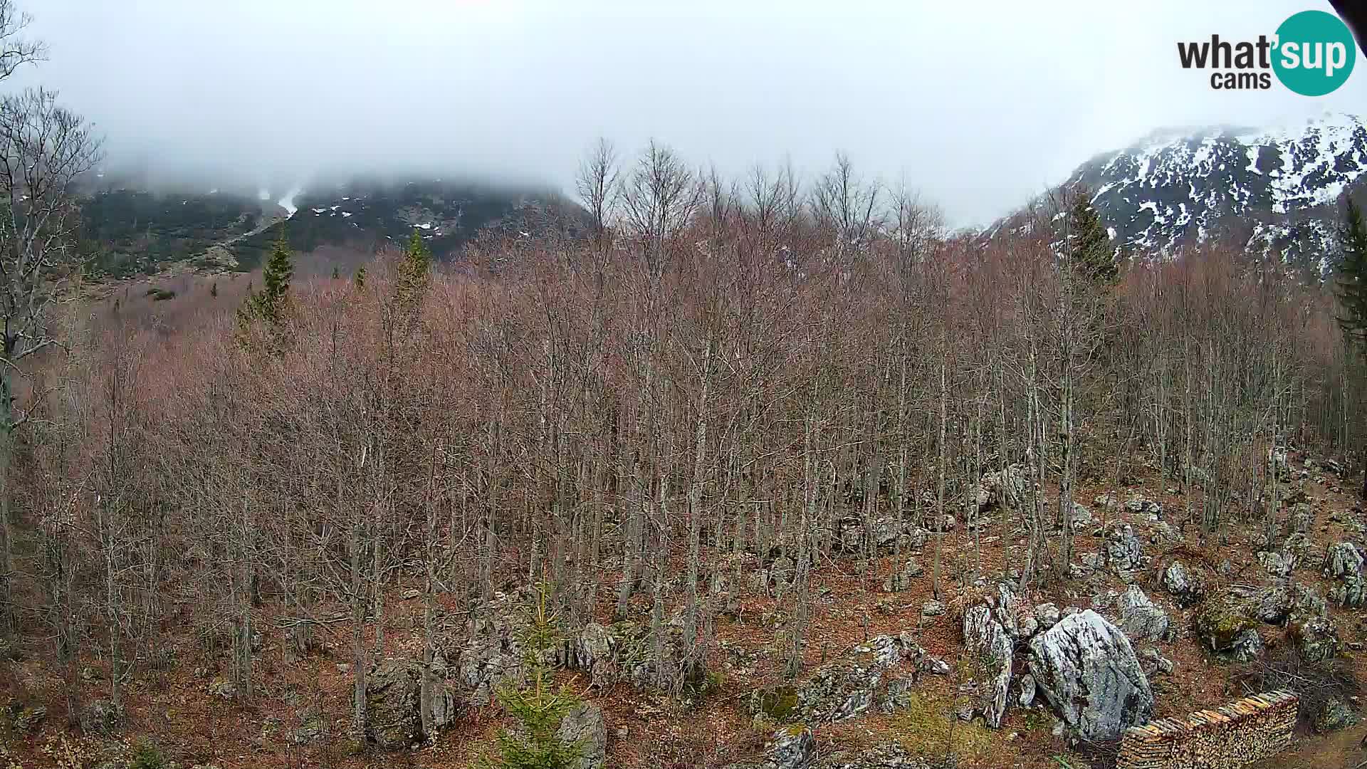 PLANINA RAZOR webcam (1315) | view to Vogel and Globoko