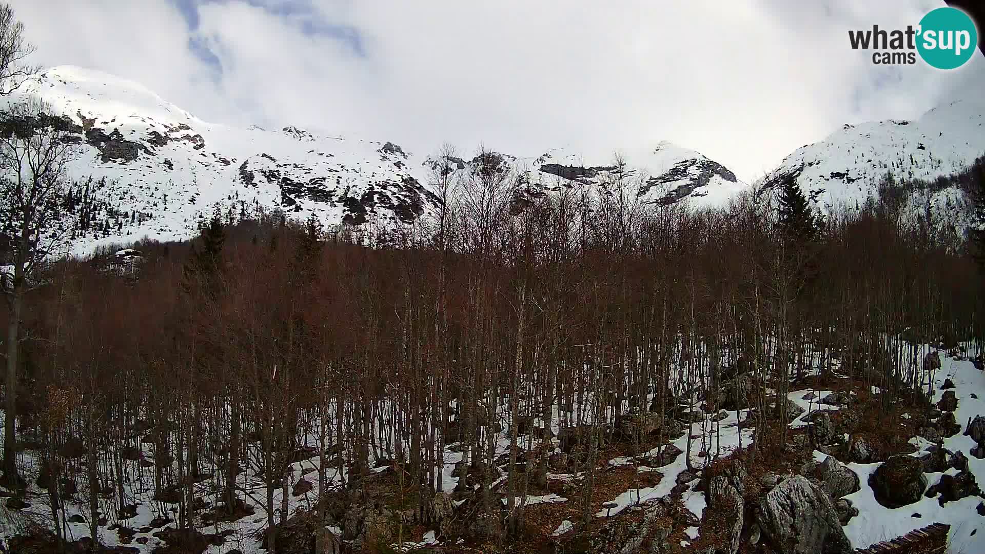 PLANINA RAZOR webcam (1315) | view to Vogel and Globoko