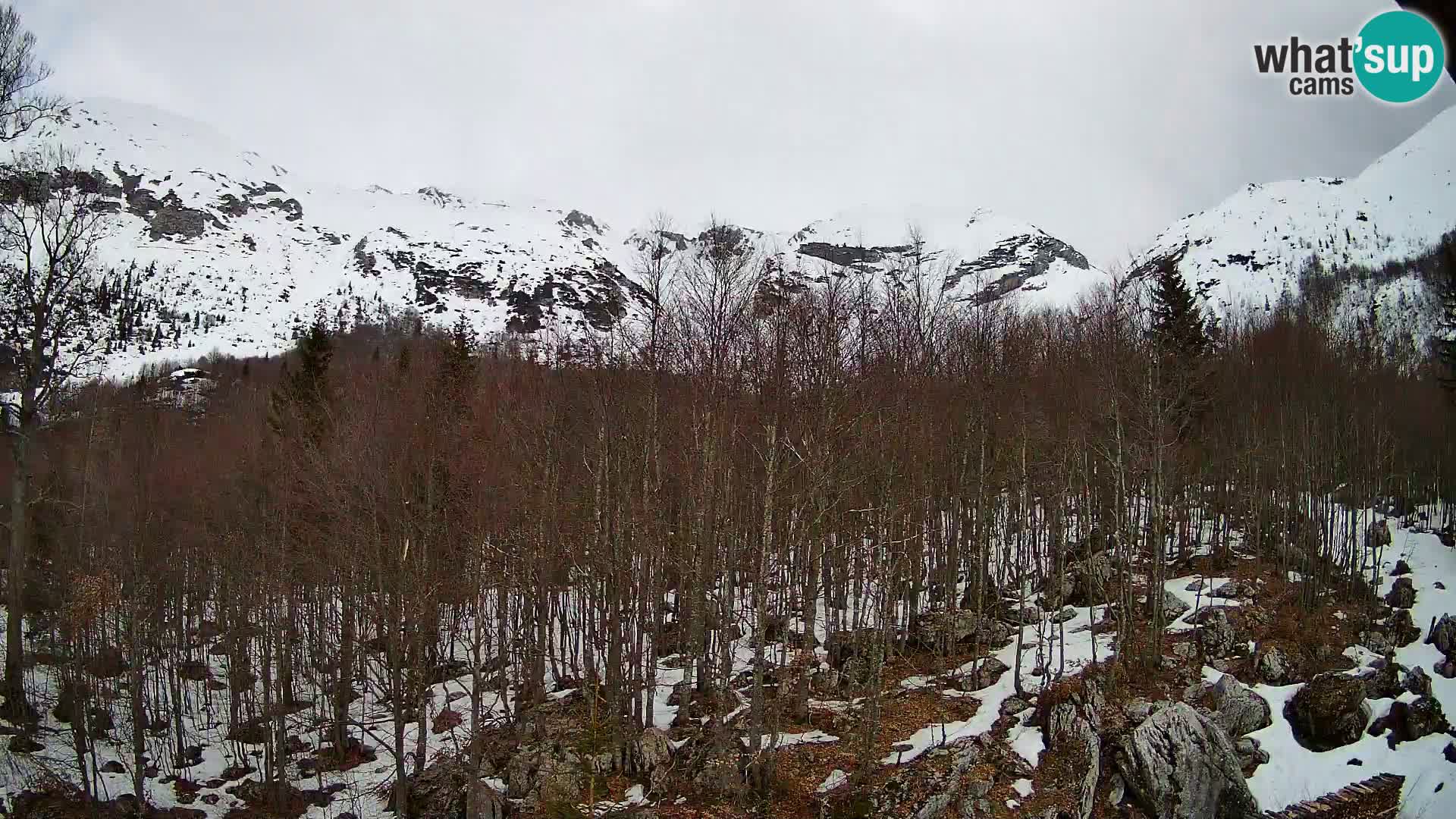 PLANINA RAZOR webcam (1315) | view to Vogel and Globoko