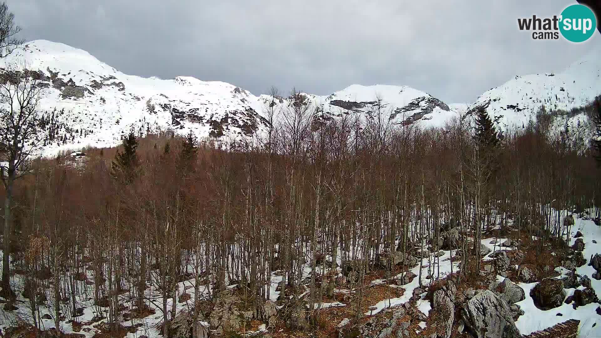 PLANINA RAZOR webcam (1315) | view to Vogel and Globoko