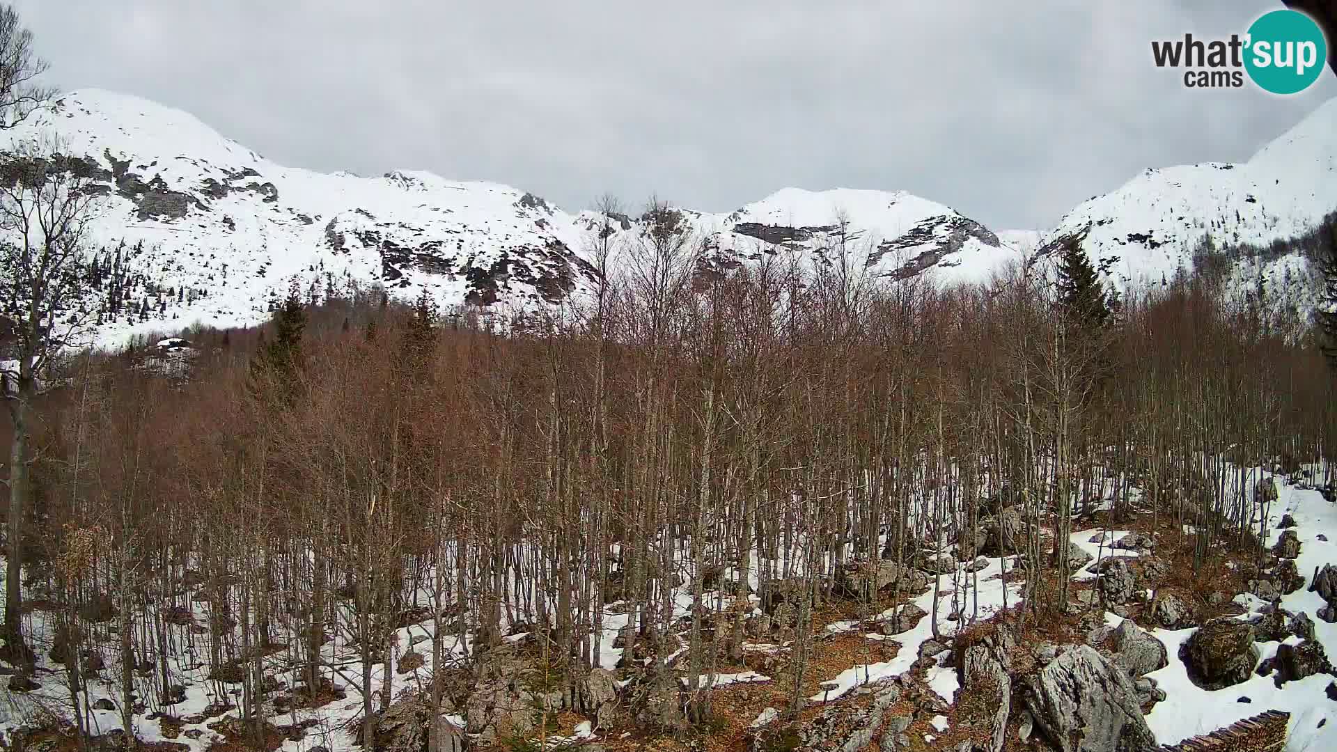 PLANINA RAZOR webcam (1315) | view to Vogel and Globoko