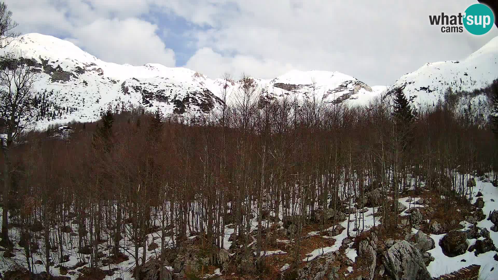 PLANINA RAZOR webcam (1315) | view to Vogel and Globoko