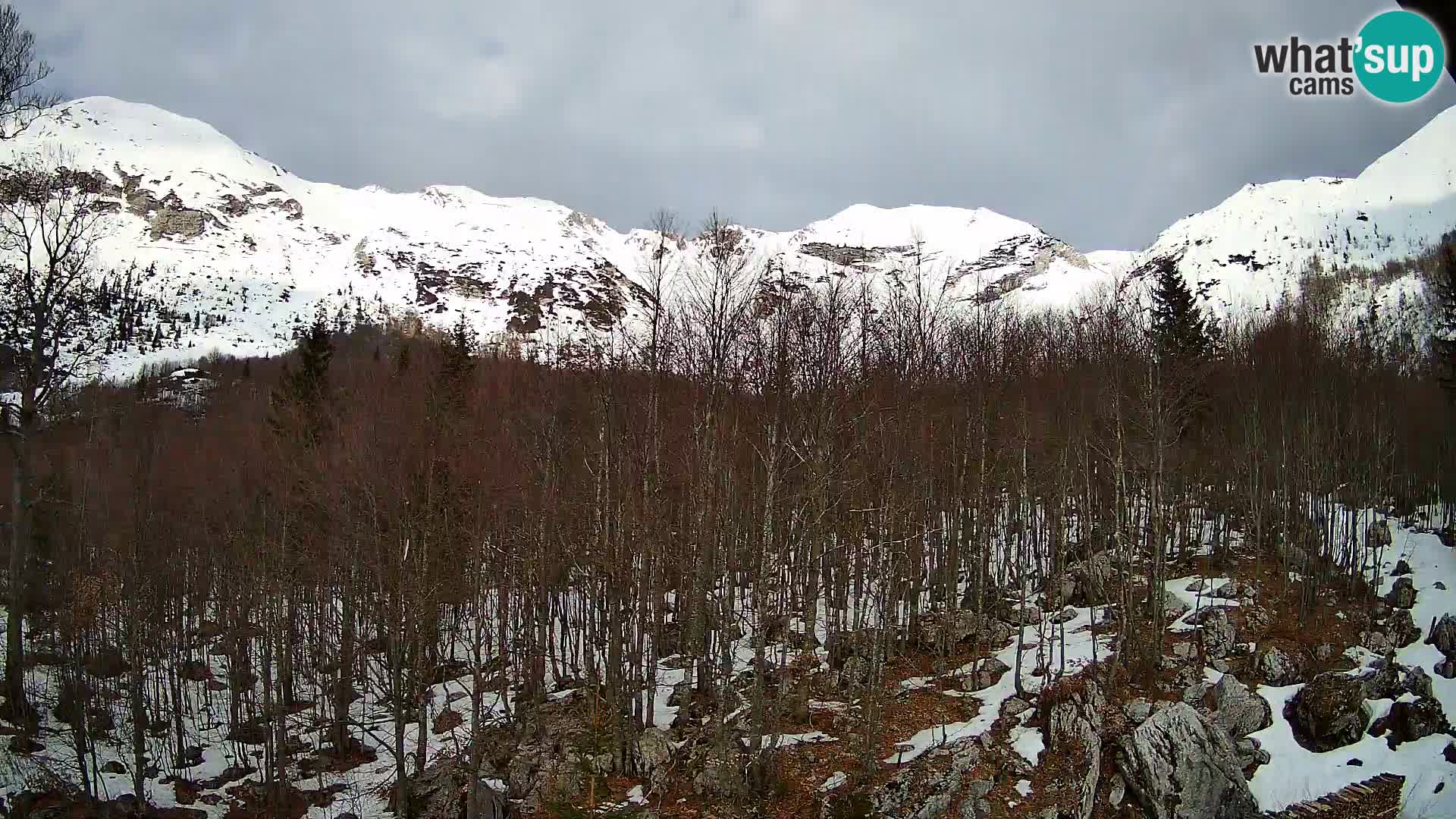 PLANINA RAZOR webcam (1315) | view to Vogel and Globoko